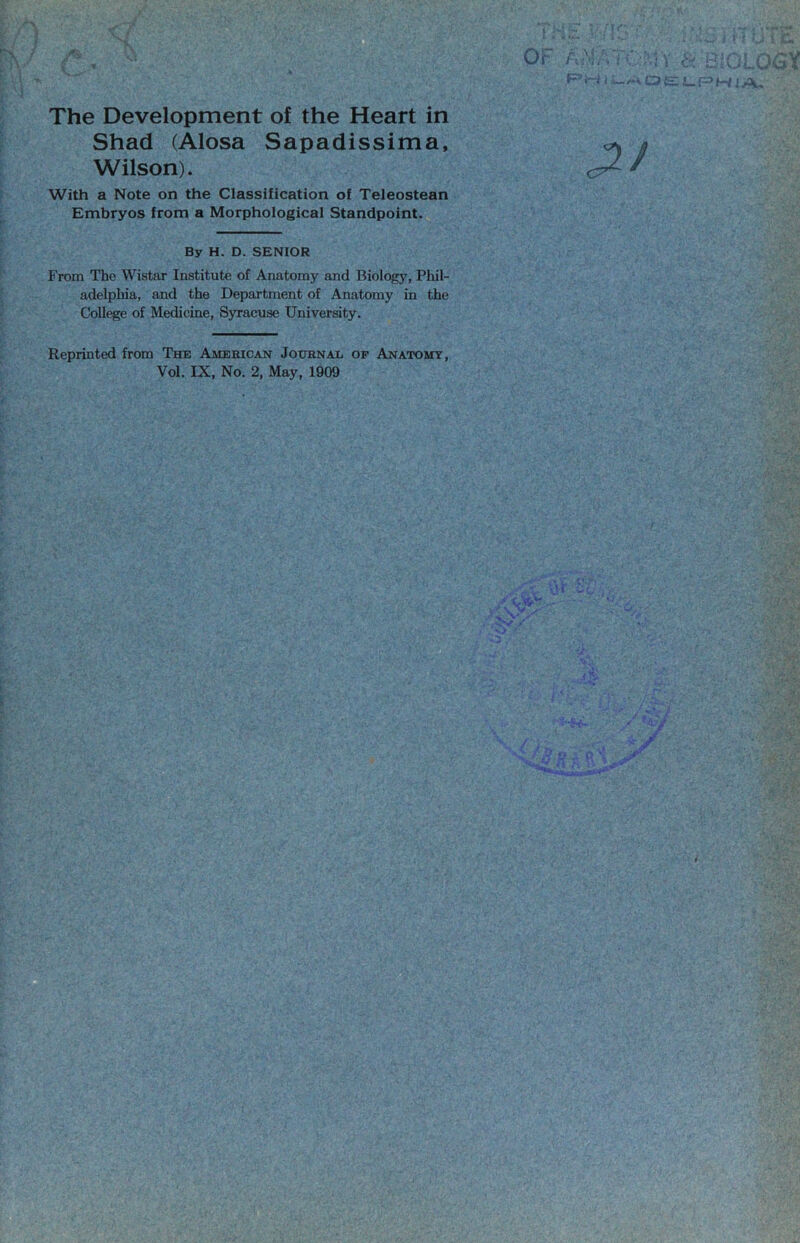 The Development of the Heart in Shad (Alosa Sapadissima, Wilson). With a Note on the Classification of Teleostean Embryos from a Morphological Standpoint. By H. D. SENIOR From The Wistar Institute of Anatomy and Biology, Phil- adelphia, and the Department of Anatomy in the Collie of Medicine, Syracuse University. Reprinted from The American Journal of Anatomy, Vol. IX, No. 2, May, 1909 o