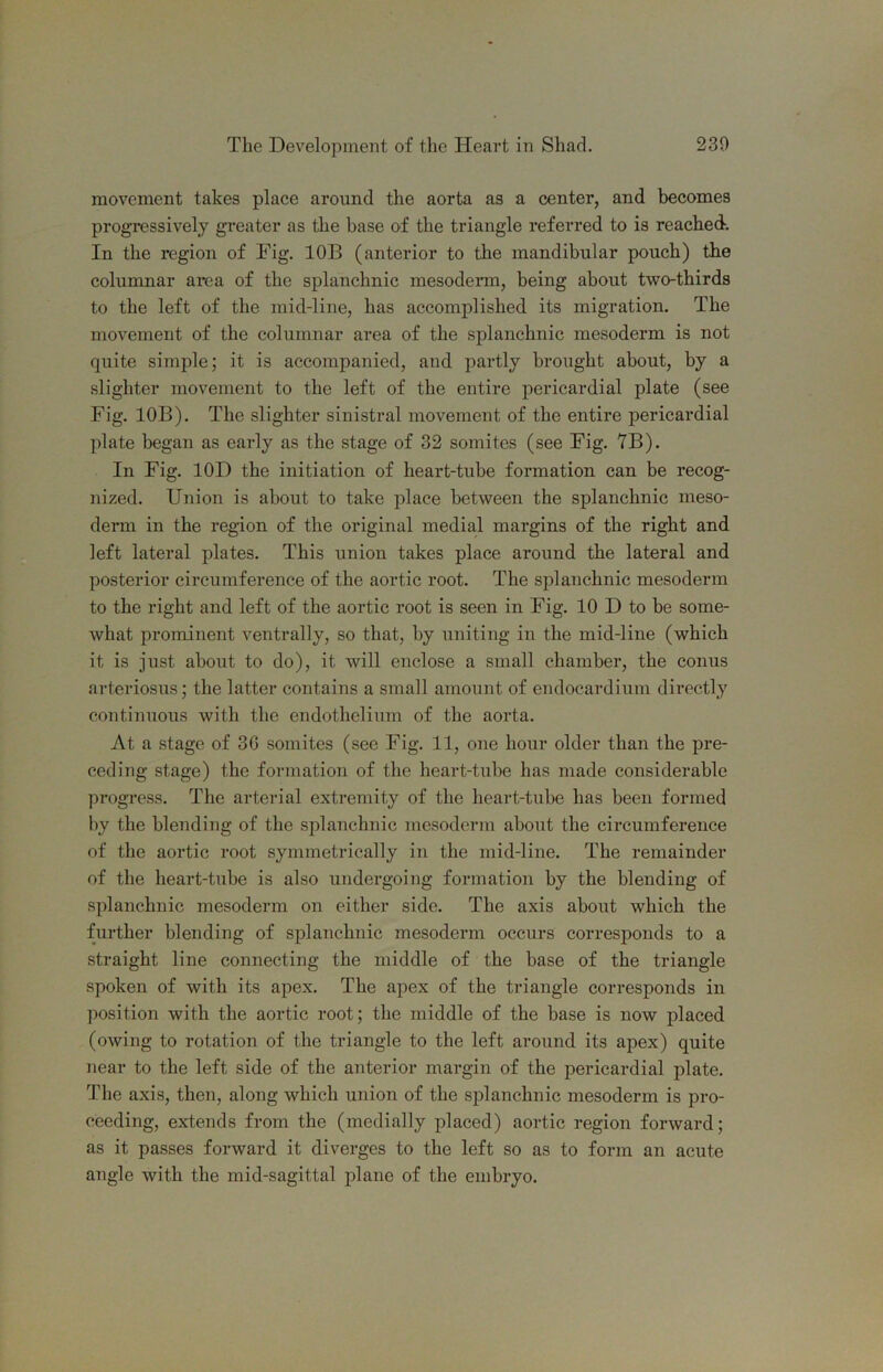 movement takes place around the aorta as a center, and becomes progressively greater as the base of the triangle referred to is reached. In the region of Fig. lOB (anterior to the mandibular pouch) the columnar area of the splanchnic mesoderm, being about two-thirds to the left of the mid-line, has accomplished its migration. The movement of the columnar area of the splanchnic mesoderm is not quite simple; it is accompanied, and partly brought about, by a slighter movement to the left of the entire pericardial plate (see Fig. lOB). The slighter sinistral movement of the entire pericardial plate began as early as the stage of 32 somites (see Fig. 7B). In Fig. lOD the initiation of heart-tube formation can be recog- nized. Union is about to take place between the splanchnic meso- derm in the region of the original medial margins of the right and left lateral plates. This union takes place around the lateral and posterior circumference of the aortic root. The splanchnic mesoderm to the right and left of the aortic root is seen in Fig. 10 D to be some- what prominent ventrally, so that, by uniting in the mid-line (which it is just about to do), it will enclose a small chamber, the conus arteriosus; the latter contains a small amount of endocardium directly continuous with the endothelium of the aorta. At a stage of 30 somites (see Fig. 11, one hour older than the pre- ceding stage) the formation of the heart-tube has made considerable progress. The arterial extremity of the heart-tube has been formed by the blending of the splanchnic mesoderm about the circumference of the aortic root symmetrically in the mid-line. The remainder of the heart-tube is also undergoing formation by the blending of splanchnic mesoderm on either side. The axis about which the further blending of splanchnic mesoderm occurs corresponds to a straight line connecting the middle of the base of the triangle spoken of with its apex. The apex of the triangle corresponds in position with the aortic root; the middle of the base is now placed (owing to rotation of the triangle to the left around its apex) quite near to the left side of the anterior margin of the pericardial plate. The axis, then, along which union of the splanchnic mesoderm is pro- ceeding, extends from the (medially placed) aortic region forward; as it passes forward it diverges to the left so as to form an acute angle with the mid-sagittal plane of the embryo.