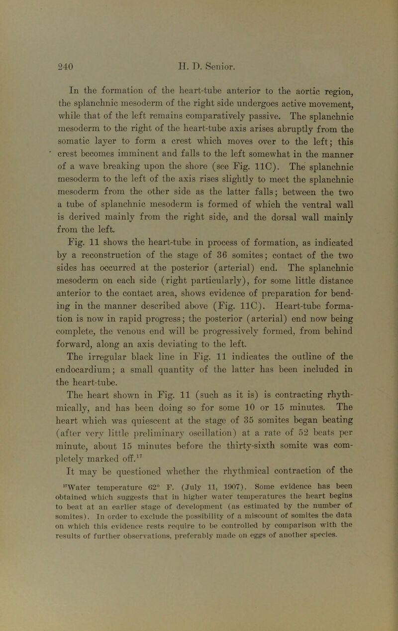 In the formation of the heart-tube anterior to the aortic region, the splanchnic mesodenn of the right side undergoes active movement, while that of the left remains comparatively passive. The splanchnic mesoderm to the right of the heart-tube axis arises abruptly from the somatic layer to form a crest which moves over to the left; this ' crest becomes imminent and falls to the left somewhat in the manner of a wave breaking upon the shore (see Fig. IIC). The splanchnic mesoderm to the left of the axis rises slightly to meet the splanchnic mesoderm from the other side as the latter falls; between the two a tube of splanchnic mesoderm is formed of which the ventral wall is derived mainly from the right side, and the dorsal wall mainly from the left. Fig. 11 shows the heart-tube in process of formation, as indicated by a reconstruction of the stage of 36 somites; contact of the two sides has occurred at the posterior (arterial) end. The splanchnic mesoderm on each side (right particularly), for some little distance anterior to the contact area, shows evidence of preparation for bend- ing in the manner described above (Fig. IIC). Heart-tube forma- tion is now in rapid progress; the posterior (arterial) end now being complete, the venous end will be progressively formed, from behind forward, along an axis deviating to the left. The irregular black line in Fig. 11 indicates the outline of the endocardium; a small quantity of the latter has been included in the heart-tube. The heart shown in Fig. 11 (such as it is) is contracting rhyth- mically, and has been doing so for some 10 or 15 minutes. The heart which was quiescent at the stage of 35 somites began beating (after very little ])reliminarv oscillation) at a rate of 52 beats per minute, about 15 minutes before the thirty-sixth somite was com- pletely marked oflF.^^ It may be questioned whether the rhythmical contraction of the Water temperature G2° F. (July It, 1907). Some evidence has been obtained which suggests that in higher water temi)eratures the heart begins to beat at an earlier stage of develoi)inent (as estimated by the number of somites). In order to exclude the possibility of a miscount of somites the data on which this evidence rests require to be controlknl by comparison with the results of further observations, preferal)ly made on eggs of another species.