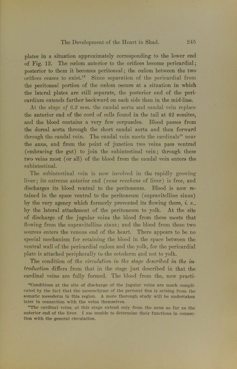 plates in a situation approximately corresponding to the lower end of Fig. 12. The coelom anterior to the orifices become pericardial; posterior to them it becomes peritoneal; the coelom between the two orifices ceases to exist.^® Since separation of the pericardial from the peritoneal portion of the coelom occurs at a situation in which the lateral plates are still separate, the posterior end of the peri- cardium extends farther backward on each side than in the mid-line. At the stage of 6.2 mm. the caudal aorta and caudal vein replace the anterior end of the cord of cells found in the tail at 42 somites, and the blood contains a very few corpuscles. Blood passes from the dorsal aorta through the short caudal aorta and then forward through the caudal vein. The caudal vein meets the cardinals^® near the anus, and from the point of junction two veins pass ventrad (embracing the gut) to join the subintestinal vein; through these two veins most (or all) of the blood from the caudal vein enters the subintestinal. The subintestinal vein is now involved in the rapidly growing liver; its extreme anterior end (vena revehens of liver) is free, and discharges its blood ventral to the peritoneum. Blood is now re- tained in the space ventral to the peritoneum (supravitelline sinus) by the very agency which formerly prevented its flowing there, i. e., by the lateral attachment of the peritoneum to yolk. At the site of discharge of the jugular veins the blood from these meets that flowing from the supravitelline sinus; and the blood from these two sources enters the venous end of the heart. There appears to be no special mechanism for retaining the blood in the space between the ventral wall of the pericardial coelom and the yolk, for the pericardial plate is attached peripherally to the ectoderm and not to yolk. The condition of the circulation in the stage described in the in- troduction differs from that in the stage just described in that the cardinal veins are fully formed. The blood from the, now practi- **Conditions at the site of discharge of the jugular veins are much compli- cated by the fact tliat the mesenchyme of the pectoral tins is arising from the somatic mesoderm in this region. A more thorough study will be undertaken later in connection with the veins themselves. The cardinal veins, at this stage extend only from the anus as far as the anterior end of the liver. I am unable to determine their functions in connec- tion with the general circulation.