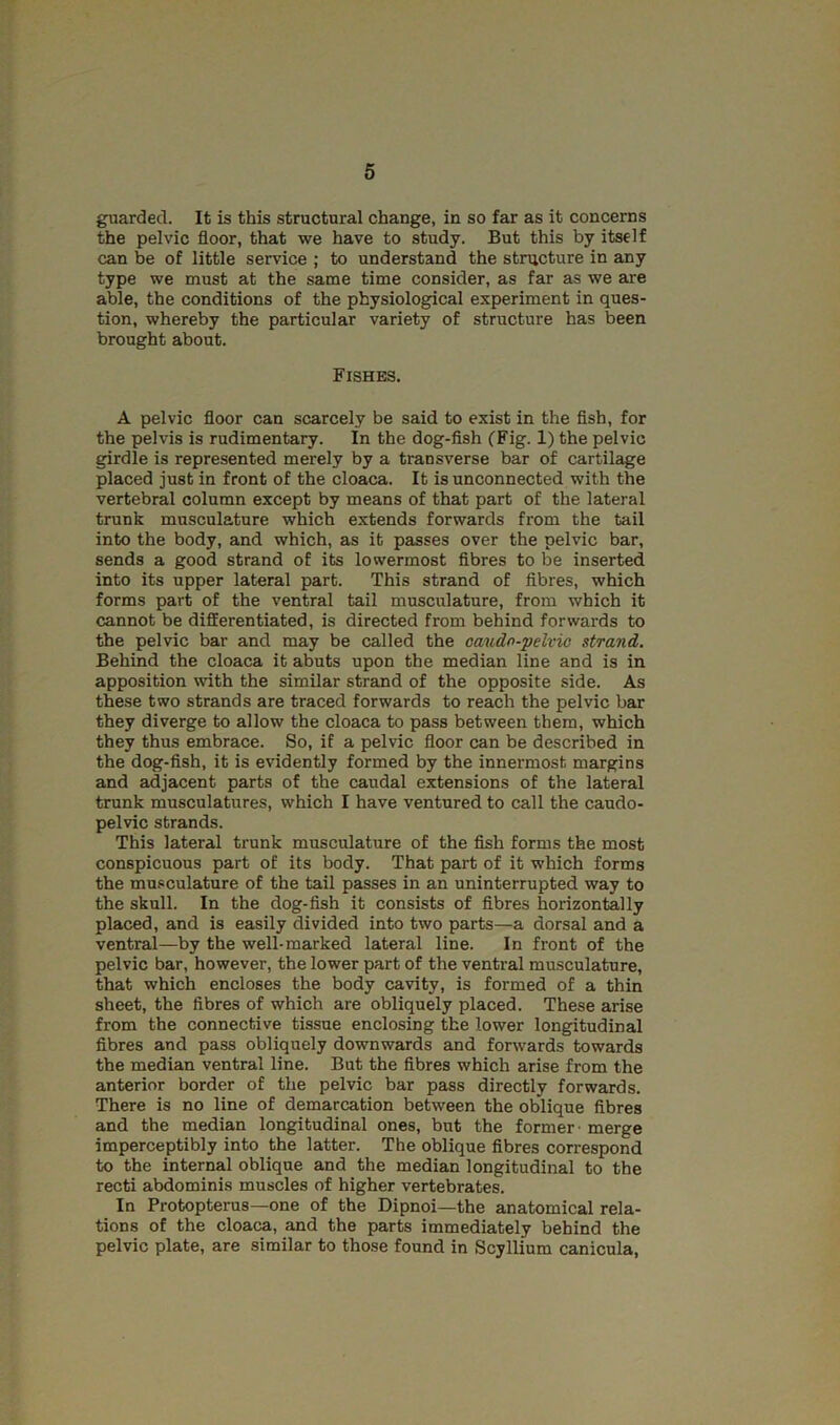 guarded. It is this structural change, in so far as it concerns the pelvic floor, that we have to study. But this by itself can be of little service ; to understand the structure in any type we must at the same time consider, as far as we are able, the conditions of the physiological experiment in ques- tion, whereby the particular variety of structure has been brought about. Fishes. A pelvic floor can scarcely be said to exist in the fish, for the pelvis is rudimentary. In the dog-fish (Fig. 1) the pelvic girdle is represented merely by a transverse bar of cartilage placed just in front of the cloaca. It is unconnected with the vertebral column except by means of that part of the lateral trunk musculature which extends forwards from the tail into the body, and which, as it passes over the pelvic bar, sends a good strand of its lowermost fibres to be inserted into its upper lateral part. This strand of fibres, which forms part of the ventral tail musculature, from which it cannot be differentiated, is directed from behind forwards to the pelvic bar and may be called the oaudo-pelvio strand. Behind the cloaca it abuts upon the median line and is in apposition with the similar strand of the opposite side. As these two strands are traced forwards to reach the pelvic bar they diverge to allow the cloaca to pass between them, which they thus embrace. So, if a pelvic floor can be described in the dog-fish, it is evidently formed by the innermost margins and adjacent parts of the caudal extensions of the lateral trunk musculatures, which I have ventured to call the caudo- pelvic strands. This lateral trunk musculature of the fish forms the most conspicuous part of its body. That part of it which forms the musculature of the tail passes in an uninterrupted way to the skull. In the dog-fish it consists of fibres horizontally placed, and is easily divided into two parts—a dorsal and a ventral—by the well-marked lateral line. In front of the pelvic bar, however, the lower part of the ventral musculature, that which encloses the body cavity, is formed of a thin sheet, the fibres of which are obliquely placed. These arise from the connective tissue enclosing the lower longitudinal fibres and pass obliquely downwards and forwards towards the median ventral line. But the fibres which arise from the anterior border of the pelvic bar pass directly forwards. There is no line of demarcation between the oblique fibres and the median longitudinal ones, but the former - merge imperceptibly into the latter. The oblique fibres correspond to the internal oblique and the median longitudinal to the recti abdominis muscles of higher vertebrates. In Protopterus—one of the Dipnoi—the anatomical rela- tions of the cloaca, and the parts immediately behind the pelvic plate, are similar to those found in Scyllium canicula.