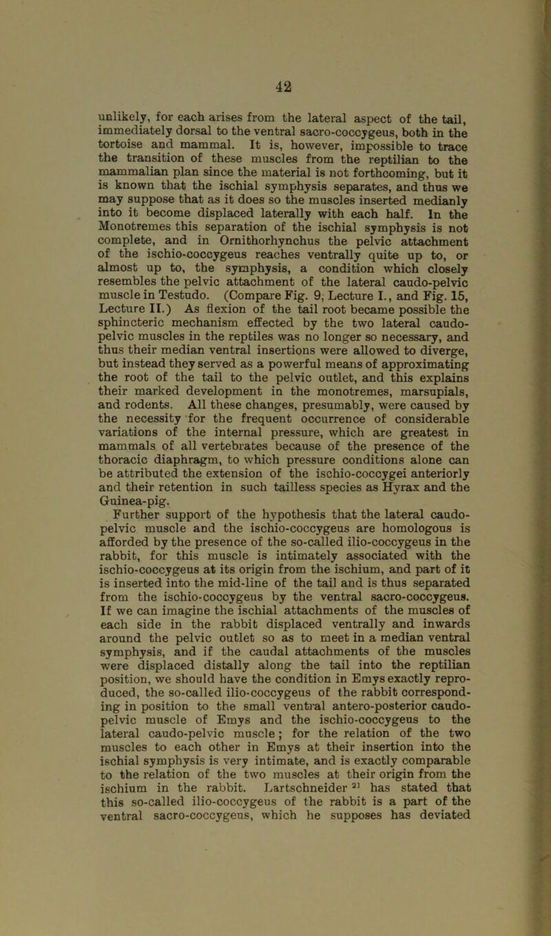 unlikely, for each arises from the lateral aspect of the tail, immediately dorsal to the ventral sacro-coccygeus, both in the tortoise and mammal. It is, however, impossible to trace the transition of these muscles from the reptilian to the mammalian plan since the material is not forthcoming, but it is known that the ischial symphysis separates, and thus we may suppose that as it does so the muscles inserted medianly into it become displaced laterally with each half. In the Monotremes this separation of the ischial symphysis is not complete, and in Ornithorhynchus the pelvic attachment of the ischio-coccygeus reaches ventrally quite up to, or almost up to, the symphysis, a condition which closely resembles the pelvic attachment of the lateral caudo-pelvic muscle in Testudo. (Compare Fig. 9, Lecture I., and Fig. 15, Lecture II.) As flexion of the tail root became possible the sphincteric mechanism effected by the two lateral caudo- pelvic muscles in the reptiles was no longer so necessary, and thus their median ventral insertions were allowed to diverge, but instead they served as a powerful means of approximating the root of the tail to the pelvic outlet, and this explains their marked development in the monotremes, marsupials, and rodents. All these changes, presumably, were caused by the necessity for the frequent occurrence of considerable variations of the internal pressure, which are greatest in mammals of all vertebrates because of the presence of the thoracic diaphragm, to which pressure conditions alone can be attributed the extension of the ischio-coccygei anteriorly and their retention in such tailless species as Hyrax and the Guinea-pig. Further support of the hypothesis that the lateral caudo- pelvic muscle and the ischio-coccygeus are homologous is afforded by the presence of the so-called ilio-coccygeus in the rabbit, for this muscle is intimately associated with the ischio-coccygeus at its origin from the ischium, and part of it is inserted into the mid-line of the tail and is thus separated from the ischio-coccygeus by the ventral sacro-coccygeus. If we can imagine the ischial attachments of the muscles of each side in the rabbit displaced ventrally and inwards around the pelvic outlet so as to meet in a median ventral symphysis, and if the caudal attachments of the muscles were displaced distally along the tail into the reptilian position, we should have the condition in Emys exactly repro- duced, the so-called ilio-coccygeus of the rabbit correspond- ing in position to the small venti'al antero-posterior caudo- pelvic muscle of Emys and the ischio-coccygeus to the lateral caudo-pelvic muscle; for the relation of the two muscles to each other in Emys at their insertion into the ischial symphysis is very intimate, and is exactly comparable to the relation of the two muscles at their origin from the ischium in the rabbit. Lartschneider has stated that this so-called ilio-coccygeus of the rabbit is a part of the ventral sacro-coccygeus, which he supposes has deviated