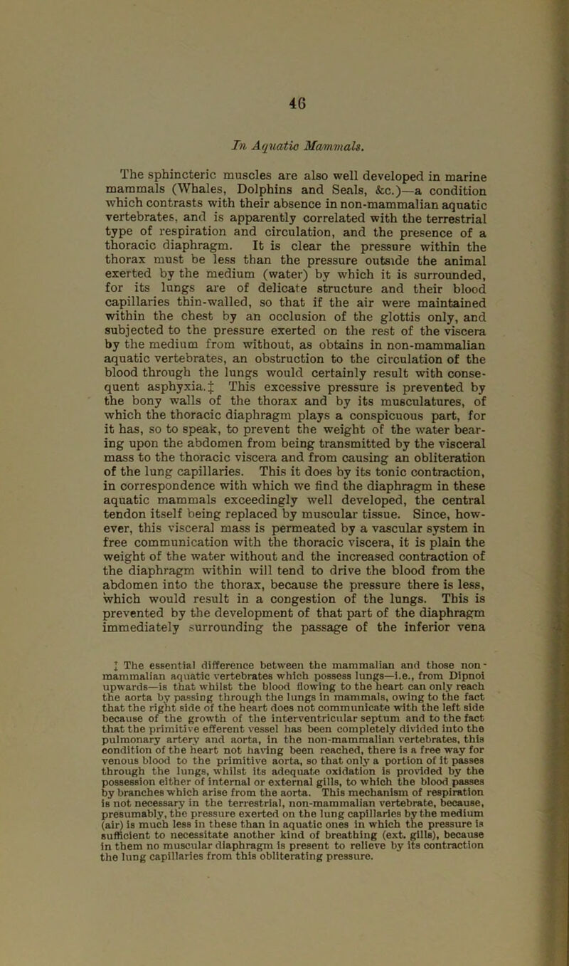 In Aqnatio Mammals. The sphincteric muscles are also well developed in marine mammals (Whales, Dolphins and Seals, &c.)—a condition which contrasts with their absence in non-mammalian aquatic vertebrates, and is apparently correlated with the terrestrial type of respiration and circulation, and the presence of a thoracic diaphragm. It is clear the pressure within the thorax must be less than the pressure outside the animal exerted by the medium (water) by which it is surrounded, for its lungs are of delicate structure and their blood capillaries thin-walled, so that if the air were maintained within the chest by an occlusion of the glottis only, and subjected to the pressure exerted on the rest of the viscera by the medium from without, as obtains in non-mammalian aquatic vertebrates, an obstruction to the circulation of the blood through the lungs would certainly result with conse- quent asphyxia. J This excessive pressure is prevented by the bony walls of the thorax and by its musculatures, of which the thoracic diaphragm plays a conspicuous part, for it has, so to speak, to prevent the weight of the water bear- ing upon the abdomen from being transmitted by the visceral mass to the thoracic viscera and from causing an obliteration of the lung capillaries. This it does by its tonic contraction, in correspondence with which we find the diaphragm in these aquatic mammals exceedingly well developed, the central tendon itself being replaced by mu.scular tissue. Since, how- ever, this visceral mass is permeated by a vascular system in free communication with the thoracic viscera, it is plain the weight of the water without and the increased contraction of the diaphragm within will tend to drive the blood from the abdomen into the thorax, because the pressure there is less, which would result in a congestion of the lungs. This is prevented by the development of that part of the diaphragm immediately surrounding the passage of the inferior vena I The essential difference between the mammalian and those non- mammalian aquatic vertebrates which possess lungs—i.e., from Dipnoi upwards—is that whilst the blood flowing to the heart can only reach the aorta by passing through the lungs in mammals, owing to the fact that the right side of the heart does not communicate with the left side because of the growth of the interventricular septum and to the fact that the primitive efferent vessel has been completely divided into the pulmonary artery and aorta, in the non-mamraallan vertebrates, this condition of the heart not ha\ing been reached, there is a free way for venous blood to the primitive aorta, so that only a portion of it passes through the lungs, whilst its adequate oxidation is pro\'ided by the possession either of internal or external gills, to which the blood passes by branches which arise from the aorta. This mechanism of respiration is not necessary in the terrestrial, non-mammalian vertebrate, because, presumably, tlie pressure exerted on the lung capillaries by the medium (air) is much less in these than in aquatic ones in which the pressure is sufficient to necessitate another kind of breathing (ext. gills), because in them no muscular diaphragm is present to relieve by its contraction the lung capillaries from this obliterating pressure.