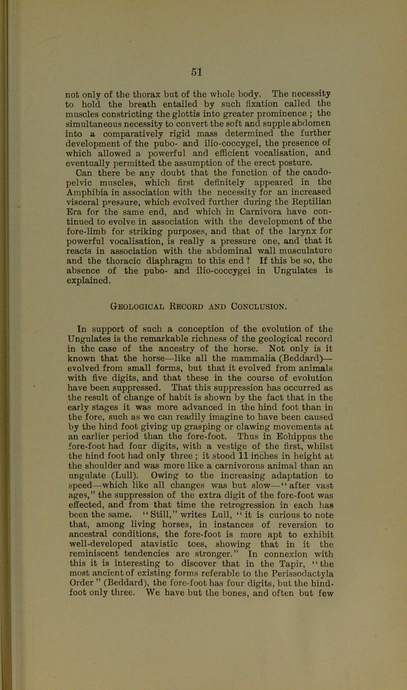 not only of the thorax but of the whole body. The necessity to hold the breath entailed by such fixation called the muscles constricting the glottis into greater prominence ; the simultaneous necessity to convert the soft and supple abdomen into a comparatively rigid mass determined the further development of the pubo- and ilio-coccygei, the presence of which allowed a powerful and efficient vocalisation, and eventually permitted the assumption of the erect posture. Can there be any doubt that the function of the caudo- pelvic muscles, which first definitely appeared in the Amphibia in association with the necessity for an increased visceral pressure, which evolved further during the Reptilian Era for the same end, and which in Carnivora have con- tinued to evolve in association with the development of the fore-limb for striking purposes, and that of the larynx for powerful vocalisation, is really a pressure one, and that it reacts in association with the abdominal wall musculature and the thoracic diaphragm to this end ? If this be so, the absence of the pubo- and ilio-coccygei in Ungulates is explained. Geological Record and Conclusion. In support of such a conception of the evolution of the Ungulates is the remarkable richness of the geological record in the case of the ancestry of the horse. Not only is it known that the horse—like all the mammalia (Beddard)— evolved from small forms, but that it evolved from animals with five digits, and that these in the course of evolution have been suppressed. That this suppression has occurred as the result of change of habit is shown by the fact that in the early stages it was more advanced in the hind foot than in the fore, such as we can readily imagine to have been caused by the hind foot giving up grasping or clawing movements at an earlier period than the fore-foot. Thus in Eohippus the fore-foot had four digits, with a vestige of the first, whilst the hind foot had only three ; it stood 11 inches in height at the shoulder and was more like a carnivorous animal than an ungulate (Lull). Owing to the increasing adaptation to speed—which like all changes was but slow—“after vast ages,” the suppression of the extra digit of the fore-foot was effected, and from that time the retrogression in each lias been the same. “Still,” writes Lull, “it is curious to note that, among living horses, in instances of reversion to ancestral conditions, the fore-foot is more apt to exhibit well-developed atavistic toes, showing that in it the reminiscent tendencies are stronger.” In connexion with this it is interesting to discover that in the Tapir, “the most ancient of existing forms referable to the Perissodactyla Order ” (Beddard), the fore-foot has four digits, but the hind- foot only three. We have but the bones, and often but few