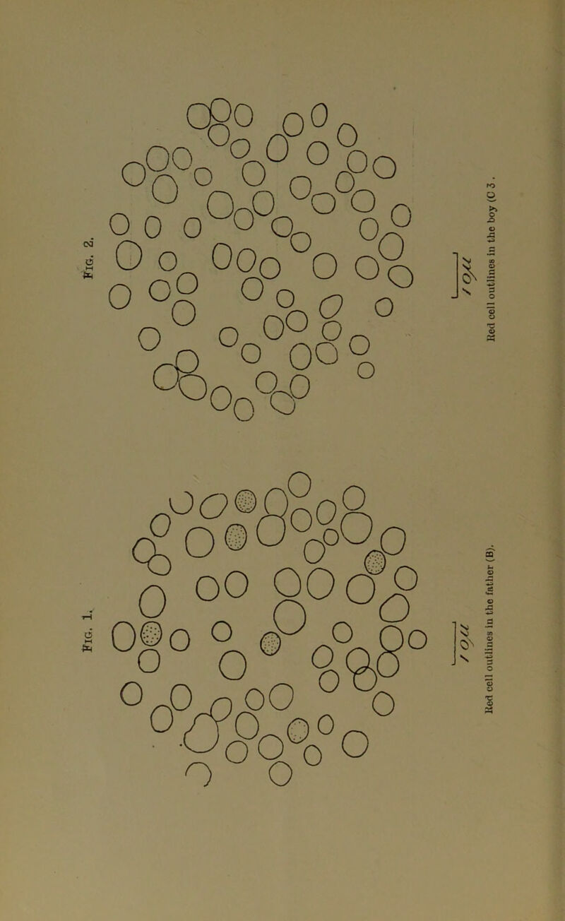 oS ja oO - 'O o^Q®o°0 o o OQ o 3 3 O
