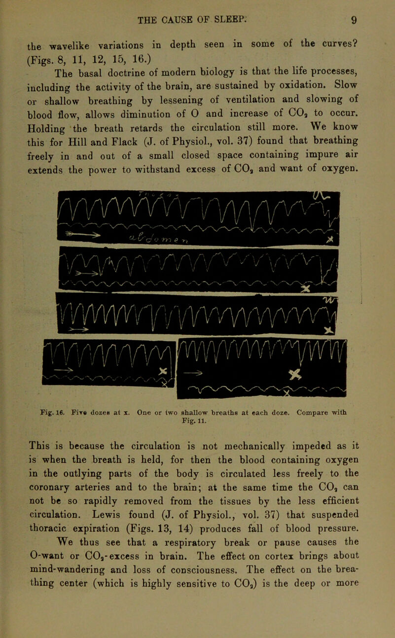 the wavelike variations in depth seen in some of the curves? (Figs. 8, 11, 12, 15, 16.) The basal doctrine of modern biology is that the life processes, including the activity of the brain, are sustained by oxidation. Slow or shallow breathing by lessening of ventilation and slowing of blood flow, allows diminution of 0 and increase of COg to occur. Holding ‘the breath retards the circulation still more. We know this for Hill and Flack (J. of Physiol., vol. 37) found that breathing freely in and out of a small closed space containing impure air extends the power to withstand excess of COg and want of oxygen. Fig. 16. Fir« dozes at x. One or two shallow breaths at each doze. Compare with Fig. 11. This is because the circulation is not mechanically impeded as it is when the breath is held, for then the blood containing oxygen in the outlying parts of the body is circulated less freely to the coronary arteries and to the brain; at the same time the COg can not be so rapidly removed from the tissues by the less efficient circulation. Lewis found (J. of Physiol., vol. 37) that suspended thoracic expiration (Figs. 13, 14) produces fall of blood pressure. We thus see that a respiratory break or pause causes the 0-want or COg-excess in brain. The effect on cortex brings about mind-wandering and loss of consciousness. The effect on the brea- thing center (which is highly sensitive to COg) is the deep or more