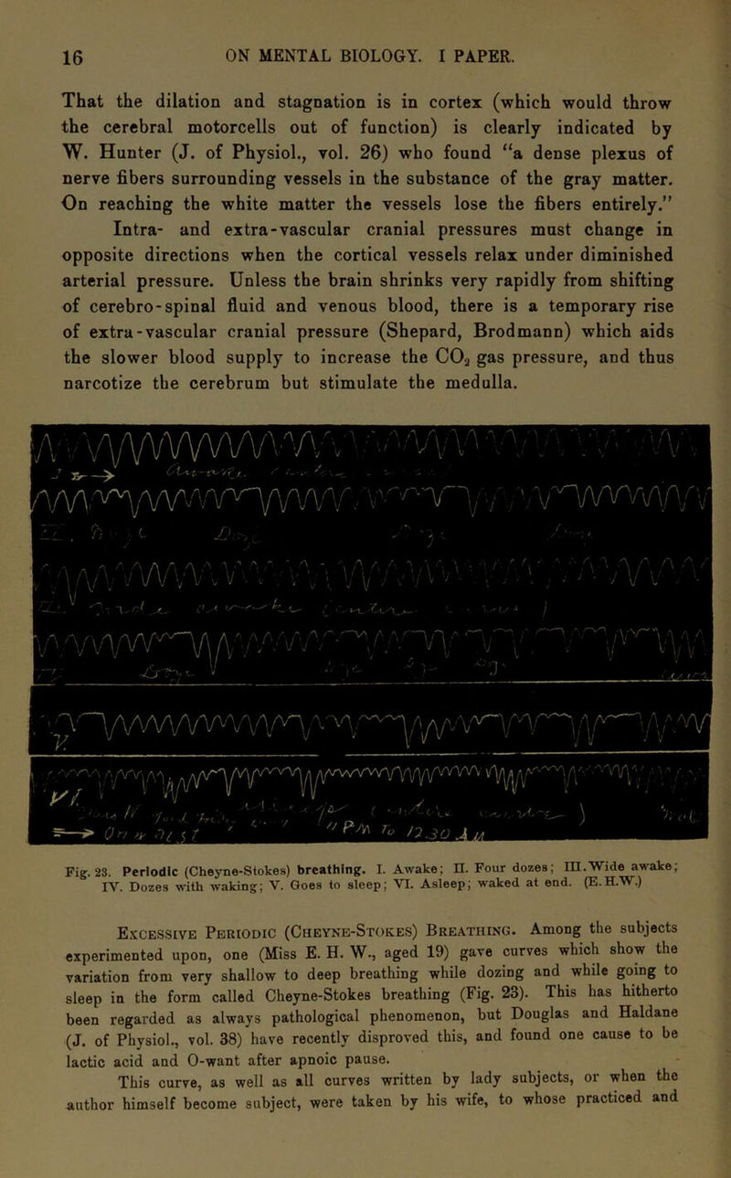 That the dilation and stagnation is in cortex (which would throw the cerebral motorcells out of function) is clearly indicated by W. Hunter (J. of Physiol., vol. 26) who found “a dense plexus of nerve fibers surrounding vessels in the substance of the gray matter. On reaching the white matter the vessels lose the fibers entirely.” Intra- and extra-vascular cranial pressures must change in opposite directions when the cortical vessels relax under diminished arterial pressure. Unless the brain shrinks very rapidly from shifting of cerebro-spinal fluid and venous blood, there is a temporary rise of extra-vascular cranial pressure (Shepard, Brodmann) which aids the slower blood supply to increase the COg gas pressure, and thus narcotize the cerebrum but stimulate the medulla. Fig. 23. Periodic (Cheyne-Stokes) breathing. I. Awake; n. Four dozes; III.Wide awake; rV. Dozes with waking; V. Goes to sleep; VI. Asleep; waked at end. (E.H.V^.) E.’ccessive Periodic (Cheyne-Stokes) Breathing. Among the subjects experimented upon, one (Miss E. H. W., aged 19) gave curves which show the variation from very shallow to deep breathing while dozing and while going to sleep in the form called Cheyne-Stokes breathing (Fig. 23). This has hitherto been regarded as always pathological phenomenon, but Douglas and Haldane (J. of Physiol., vol. 38) have recently disproved this, and found one cause to be lactic acid and 0-want after apnoic pause. This curve, as well as all curves written by lady subjects, or when the author himself become subject, were taken by his wife, to whose practiced and