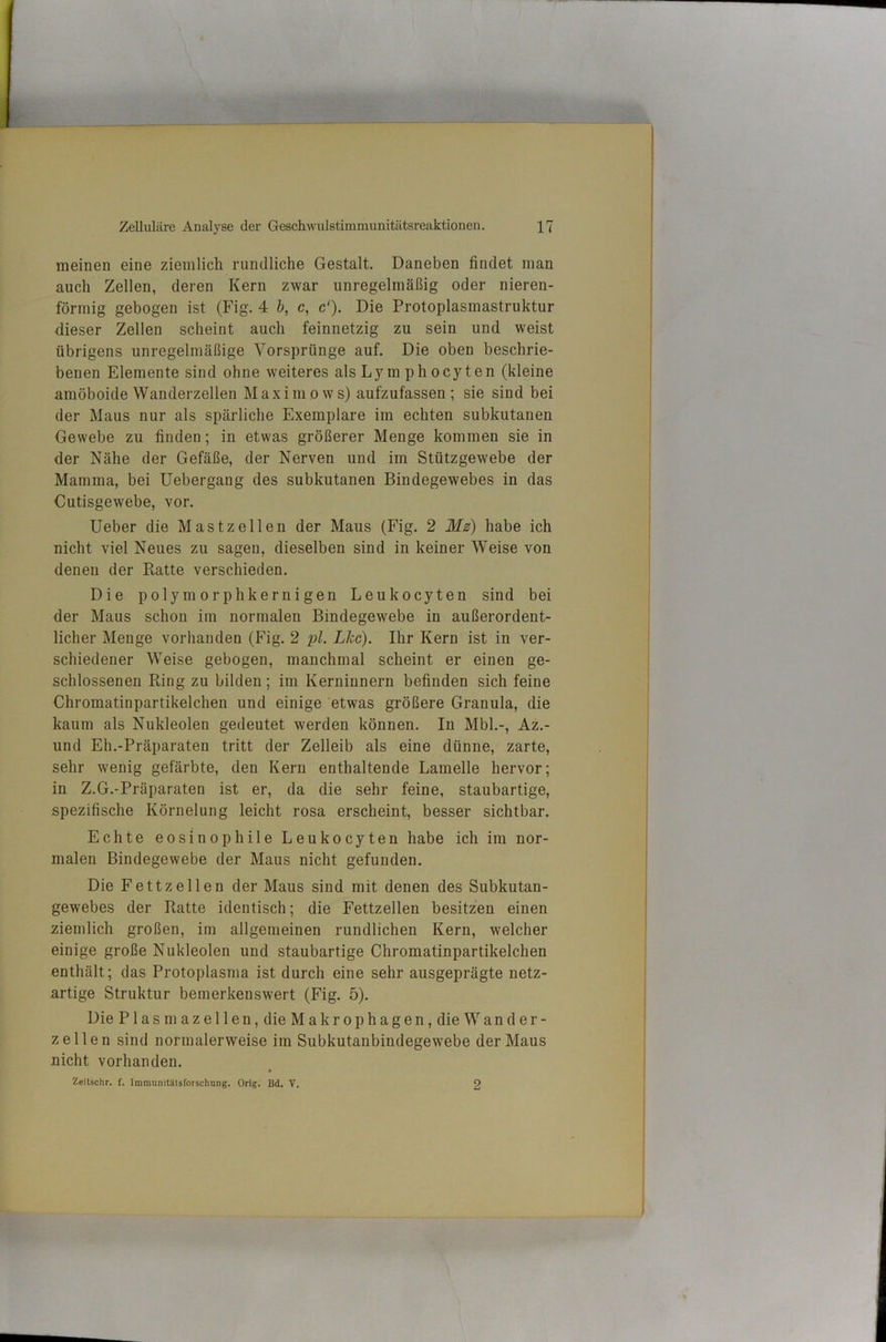 meinen eine ziemlich rundliche Gestalt. Daneben findet man auch Zellen, deren Kern zwar unregelmäßig oder nieren- förmig gebogen ist (Fig. 4 b, c, c'). Die Protoplasmastruktur dieser Zellen scheint auch feinnetzig zu sein und weist übrigens unregelmäßige Vorsprünge auf. Die oben beschrie- benen Elemente sind ohne weiteres alsLymphocyten (kleine amöboide Wanderzellen Maximows) aufzufassen; sie sind bei der Maus nur als spärliche Exemplare im echten subkutanen Gewebe zu finden; in etwas größerer Menge kommen sie in der Nähe der Gefäße, der Nerven und im Stützgewebe der Mamma, bei Uebergang des subkutanen Bindegewebes in das Cutisgewebe, vor. lieber die Mast zellen der Maus (Fig. 2 Mz) habe ich nicht viel Neues zu sagen, dieselben sind in keiner Weise von denen der Ratte verschieden. Die polymorphkernigen Leukocyten sind bei der Maus schon im normalen Bindegewebe in außerordent- licher Menge vorhanden (Fig. 2 pl. Lhc). Ihr Kern ist in ver- schiedener Weise gebogen, manchmal scheint er einen ge- schlossenen Ring zu bilden; im Kerninnern befinden sich feine Chromatinpartikelchen und einige etwas größere Granula, die kaum als Nukleolen gedeutet werden können. In Mbl.-, Az.- und Eh.-Präparaten tritt der Zelleib als eine dünne, zarte, sehr wenig gefärbte, den Kern enthaltende Lamelle hervor; in Z.G.-Präparaten ist er, da die sehr feine, staubartige, spezifische Körnelung leicht rosa erscheint, besser sichtbar. Echte eosinophile Leukocyten habe ich im nor- malen Bindegewebe der Maus nicht gefunden. Die Fettzellen der Maus sind mit denen des Subkutan- gewebes der Ratte identisch; die Fettzellen besitzen einen ziemlich großen, im allgemeinen rundlichen Kern, welcher einige große Nukleolen und staubartige Chromatinpartikelchen enthält; das Protoplasma ist durch eine sehr ausgeprägte netz- artige Struktur bemerkenswert (Fig. 5). Die P1 a s m a z e 11 e n, die M a k r 0 p h a g e n, die W a n d e r - zellen sind normalerweise im Subkutanbindegewebe der Maus nicht vorhanden. Zeilschr. f. Immumtlitsforschung. Orig. Bd. V. 2