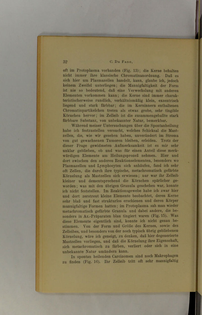 oft im Protoplasma vorhanden (Fig. 13); die Kerne behalten nicht immer ihre klassische Chromatinanordnung. Daß es sich hier um Plasmazellen handelt, kann, glaube ich, jedoch keinem Zweifel unterliegen; die Mannigfaltigkeit der Form ist nie so bedeutend, daß eine Verwechslung mit anderen Elementen Vorkommen kann; die Kerne sind immer charak- teristischerweise rundlich, verhältnismäßig klein, exzentrisch liegend und stark färbbar; die im Kerninnern enthaltenen Chromatinpartikelchen treten als etwas grobe, sehr tingible Körnchen hervor; im Zelleib ist die zusammengeballte stark färbbare Substanz, von unbekannter Natur, bemerkbar. Während meiner Untersuchungen über die Spontanheilung habe ich festzustellen versucht, welches Schicksal die Mast- zellen, die, wie wir gesehen haben, unverändert im Stroma von gut gewachsenen Tumoren bleiben, erleiden. Trotz der dieser Frage gewidmeten Aufmerksamkeit ist es mir sehr unklar geblieben, ob und was für einen Anteil diese merk- würdigen Elemente am Heilungsprozeß nehmen. Hier und dort zwischen den anderen Reaktionselementen, besonders wo Plasmazellen und Lymphocyten sich anhäufen, fand ich sehr oft Zellen, die durch ihre typische, metachromatisch gefärbte Körnelung als Mastzellen sich erwiesen; nur war ihr Zelleib kleiner und dementsprechend die Körnchen spärlicher ge- worden ; was mit den übrigen Granula geschehen war, konnte ich nicht feststellen. Im Reaktionsgewebe habe ich zwar hier und dort zerstreut kleine Elemente beobachtet, deren Kerne sehr blaß und fast strukturlos erschienen und deren Körper mannigfaltige Formen hatten; im Protoplasma sah man wieder metachromatisch gefärbte Granula und dabei andere, die be- sonders in Az.-Präparaten blau tingiert waren (Fig. 15). Was diese Elemente eigentlich sind, konnte ich nicht genau be- stimmen. Von der Form und Größe des Kernes, sowie des Zelleibes, und besonders von der noch typisch übrig gebliebenen Körnelung, wäre ich geneigt, zu denken, daß hier degenerierte Mastzellen vorliegen, und daß die Körnelung ihre Eigenschaft, sich metachromatisch zu färben, verliert oder sich in eine unbekannte Natur umändern kann. In spontan heilenden Carcinomen sind noch Makrophagen zu finden (Fig. 16). Ihr Zelleib tritt oft sehr mannigfaltig