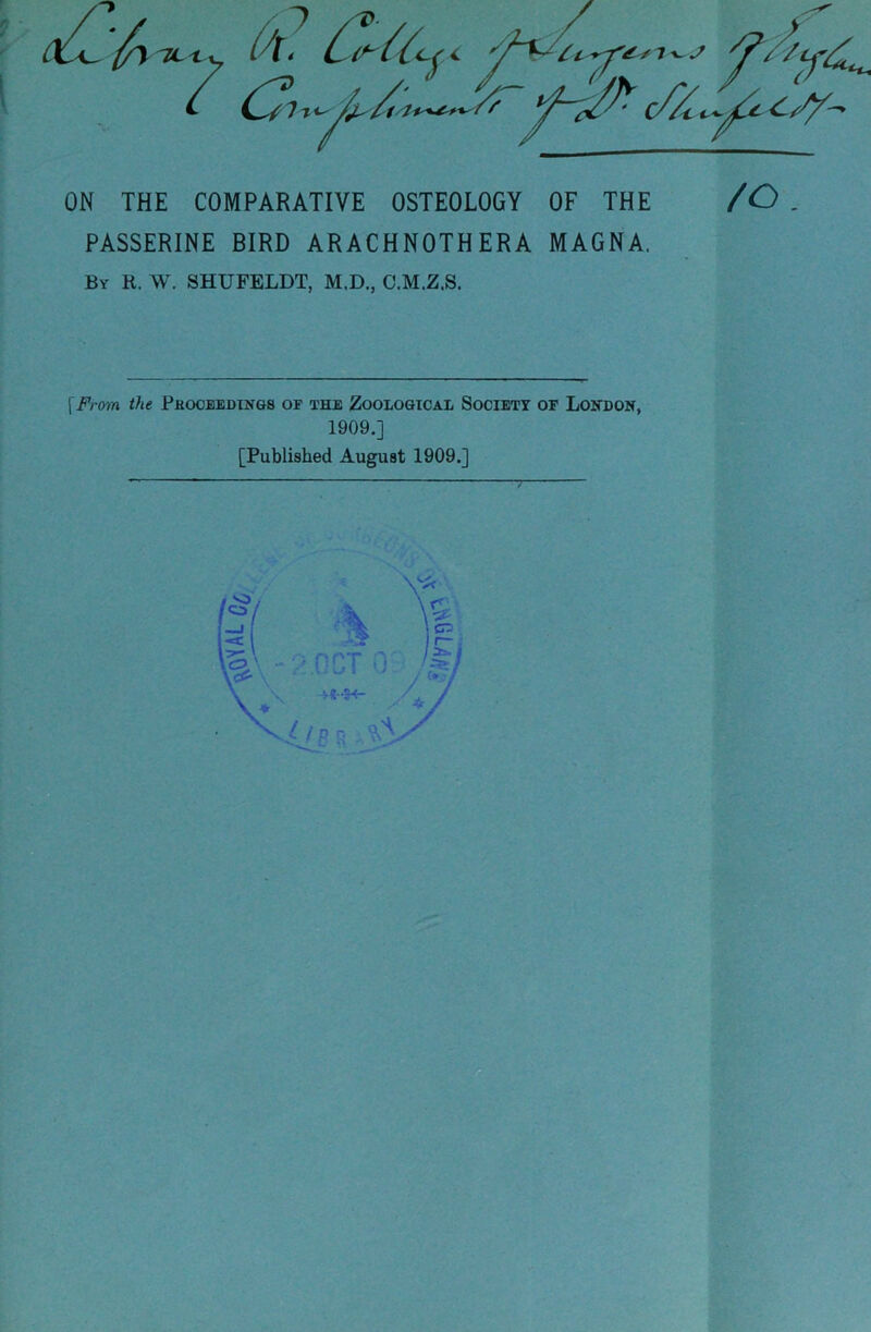 ON THE COMPARATIVE OSTEOLOGY OF THE /C) . PASSERINE BIRD ARACHNOTHERA MAGNA. By R. W. SHUFELDT, M.D., C.M.Z.S. \From the Phcxjeedings op the Zoological Society of London, 1909.] [Published August 1909.]