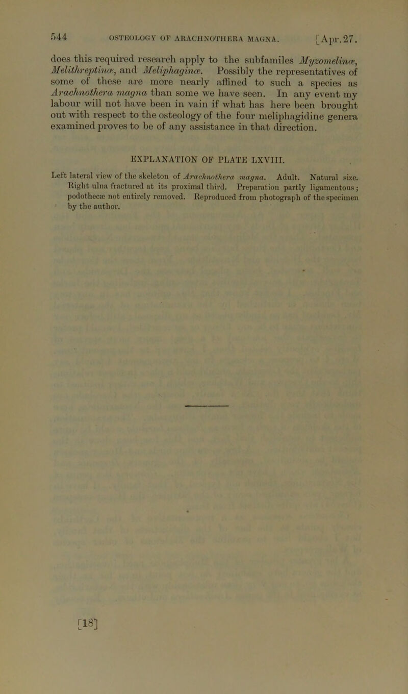 OSTKOLOGY OF AHACJlNOTlIKItA MA(iNA. [Apr.27. r>44 does this required research apply to the subfamiles MyzomelinfP, AlelithreptincH, and Meliphagime. Possibly the representatives of some of these are more nearly affined to such a species as Arcichnotherci vucguci than some we have seen. In any event my labour will not have been in vain if what has here been brought out with respect to the osteology of the four meliphagidine genera examined proves to be of any assistance in that direction. EXPLANATION OP PLATE LXVIII. Left lateral view of the skeleton of Arachnothera viagna. Adult. Natural size. Kiglit ulna fractured at its proximal third. Preparation partly ligamentous; podotheca: not entirely removed. Reproduced from photograph of the specimen by the author. [18]