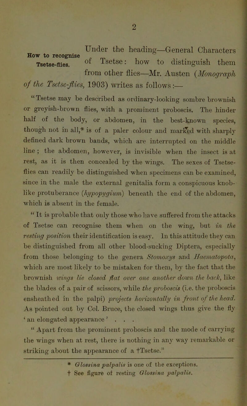 How to recognise Tsetse-flies. Under the heading—General Characters of Tsetse: how to distinguish them from other flies—Mr. Austen (Monograph of the Tsetse-Jiies, 1903) writes as follows:— “Tsetse may be described as ordinary-looking sombre brownish or greyish-brown flies, with a prominent proboscis. The hinder half of the body, or abdomen, in the best-known species, defined dark brown bands, which are interrupted on the middle line ; the abdomen, however, is invisible when the insect is at rest, as it is then concealed by the wings. The sexes of Tsetse- flies can readily be distinguished when specimens can be examined, since in the male the external genitalia form a conspicuous knob- like protuberance (hypopygium) beneath the end of the abdomen, which is absent in the female. “ It is probable that only those wdio have suffered from the attacks of Tsetse can recognise them when on the wing, but in the resting position their identification is easy. In this attitude they can be distinguished from all other blood-sucking Diptera, especially from those belonging to the genera Stomoxys and Haematopota, which are most likely to be mistaken for them, by the fact that the brownish wings lie closed flat over one another down the hack, like the blades of a pair of scissors, while the proboscis (i.e. the proboscis ensheath ed in the palpi) projects horizontally in front of the head. As pointed out by Col. Bruce, the closed -wings thus give the fly ‘ an elongated appearance ’ . . . “ Apart from the prominent proboscis and the mode of carrying the wings when at rest, there is nothing in any way remarkable ox- striking about the appeai-ance of a tTsetse.” though not in all,* is of a paler colour and mar laid with sharply * Glossina palpalis is one of the exceptions, f See figure of l-esting Glossina palpalis.