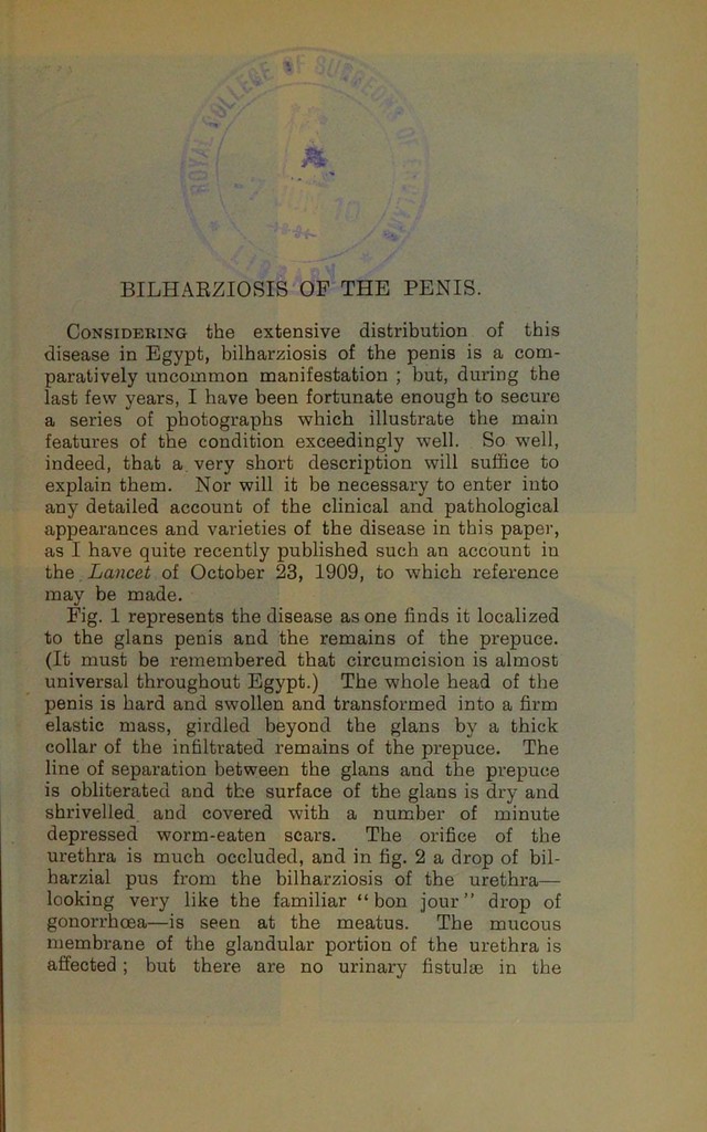 digitised image 3