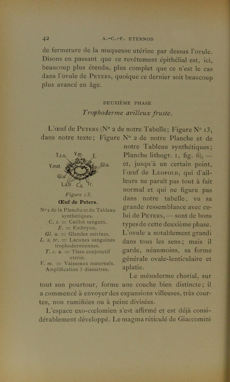 de fermeture de la muqueuse utérine par dessus l’ovule. Disons en passant que ce revêtement épithélial est, ici, beaucoup plus étendu, plus complet que ce n’est le cas dans 1 ovule de Peters, quoique ce dernier soit beaucoup plus avancé en âge. DEUXIÈME PHASE Trophodenne avilleux fruste. L'œuf de Peters (N° 2 de notre Tabelle; Figure N° i3, dans notre texte; Figure N° 2 de notre Planche et de notre Tableau synthétiques; Planche lithogr. 1, fig. 6), — et, jusqu’à un certain point, l’œuf de Léopold, qui d’ail- leurs ne paraît pas tout à fait normal et qui ne figure pas dans notre tabelle, vu sa grande ressemblance avec ce- lui de Peters, — sont de bons types de cette deuxième phase. L’ovule a notablement grandi dans tous les sens ; mais il garde, néanmoins, sa forme générale ovale-lenticulaire et aplatie. Le mésoderme chorial, sur tout son pourtour, forme une couche bien distincte ; il a commencé à envoyer des expansions villeuses, très cour- tes, non ramifiées ou à peine divisées. L’espace exo-cœlomien s’est affirmé et est déjà consi- dérablement développé. Le magma réticulé de Giaccomini Figure i3. Œuf de Peters. N° 2 de la Planche et du Tableau synthétiques. C. s. = Caillot sanguin. E. — Embryon. Gl. u. = Glandes utérines. L. s. tr. — Lacunes sanguines trophodermiennes. T. c. ». = Tissu conjonctif utérin. V. in. = Vaisseaux maternels. Amplification 5 diamètres.