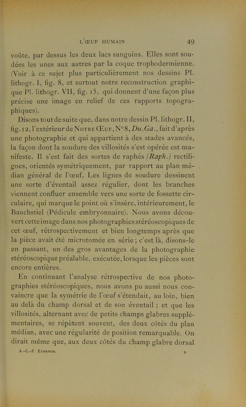 voûte, par dessus les deux lacs sanguins. Elles sont sou- dées les unes aux autres par la coque trophodermienne. (Voir à ce sujet plus particulièrement nos dessins PI. lithogr. I, fig. 8, et surtout notre reconstruction graphi- que PI. lithogr. VII, fig. i5, qui donnent d’une façon plus précise une image en relief de ces rapports topogra- phiques). Disons toutdesuite que, dans notre dessin PI. lithogr. II, fig. 12, l'extérieur de Notre Œuf, ~N°8,Dii.Ga.J, fait d’après une photographie et qui appartient à des stades avancés, la façon dont la soudure des villosités s'est opérée est ma- nifeste. Il s’est fait des sortes de raphés (Raph.) rectili- gnes, orientés symétriquement, par rapport au plan mé- dian général de l’œuf. Les lignes de soudure dessinent une sorte d’éventail assez régulier, dont les branches viennent confluer ensemble vers une sorte de fossette cir- culaire, qui marque le point où s’insère, intérieurement, le Bauchstiel (Pédicule embryonnaire). Nous avons décou- vert cette image dans nos photographies stéréoscopiques de cet œuf, rétrospectivement et bien longtemps après que la pièce avait été microtomée en série ; c’est là, disons-le en passant, un des gros avantages de la photographie stéréoscopique préalable, exécutée, lorsque les pièces sont encore entières. En continuant l’analyse rétrospective de nos photo- graphies stéréoscopiques, nous avons pu aussi nous con- vaincre que la symétrie de l'œuf s’étendait, au loin, bien au delà du champ dorsal et de son éventail ; et que les villosités, alternant avec de petits champs glabres supplé- mentaires, se répètent souvent, des deux côtés du plan médian, avec une régularité de position remarquable. On dirait même que, aux deux côtés du champ glabre dorsal A.-C.-F. Etrrnod. 4