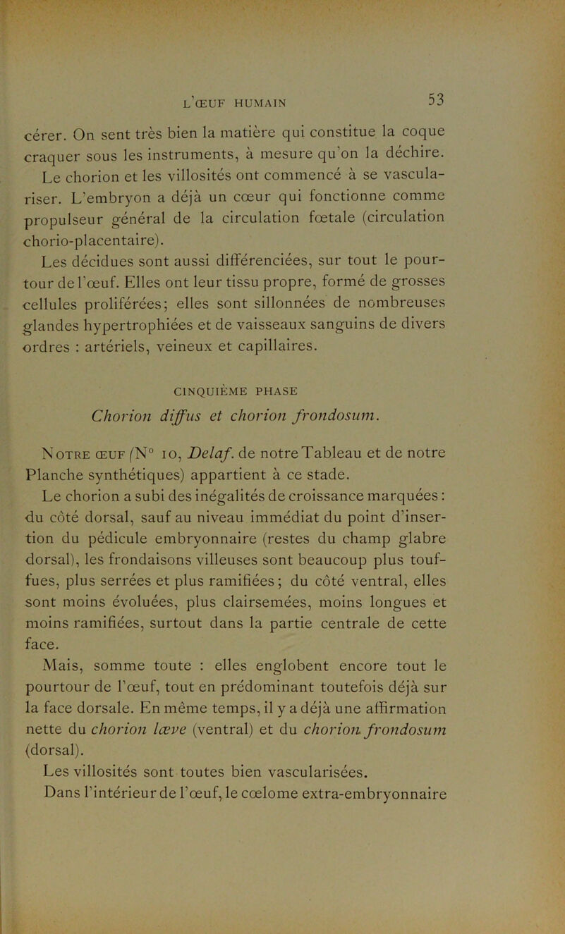 cérer. On sent très bien la matière qui constitue la coque craquer sous les instruments, à mesure qu’on la déchire. Le chorion et les villosités ont commencé à se vascula- riser. L’embryon a déjà un cœur qui fonctionne comme propulseur général de la circulation fœtale (circulation chorio-placentaire). Les décidues sont aussi différenciées, sur tout le pour- tour de l'œuf. Elles ont leur tissu propre, formé de grosses cellules proliférées; elles sont sillonnées de nombreuses glandes hypertrophiées et de vaisseaux sanguins de divers ordres : artériels, veineux et capillaires. CINQUIÈME PHASE Chorion diffus et chorion frondosum. Notre œuf (N° io, Delaf. de notre Tableau et de notre Planche synthétiques) appartient à ce stade. Le chorion a subi des inégalités de croissance marquées : du côté dorsal, sauf au niveau immédiat du point d’inser- tion du pédicule embryonnaire (restes du champ glabre dorsal), les frondaisons villeuses sont beaucoup plus touf- fues, plus serrées et plus ramifiées; du côté ventral, elles sont moins évoluées, plus clairsemées, moins longues et moins ramifiées, surtout dans la partie centrale de cette face. Mais, somme toute : elles englobent encore tout le pourtour de l’œuf, tout en prédominant toutefois déjà sur la face dorsale. En même temps, il y a déjà une affirmation nette du chorion lœve (ventral) et du chorion frondosum (dorsal). Les villosités sont toutes bien vascularisées. Dans l’intérieur de l’œuf, le cœlome extra-embryonnaire