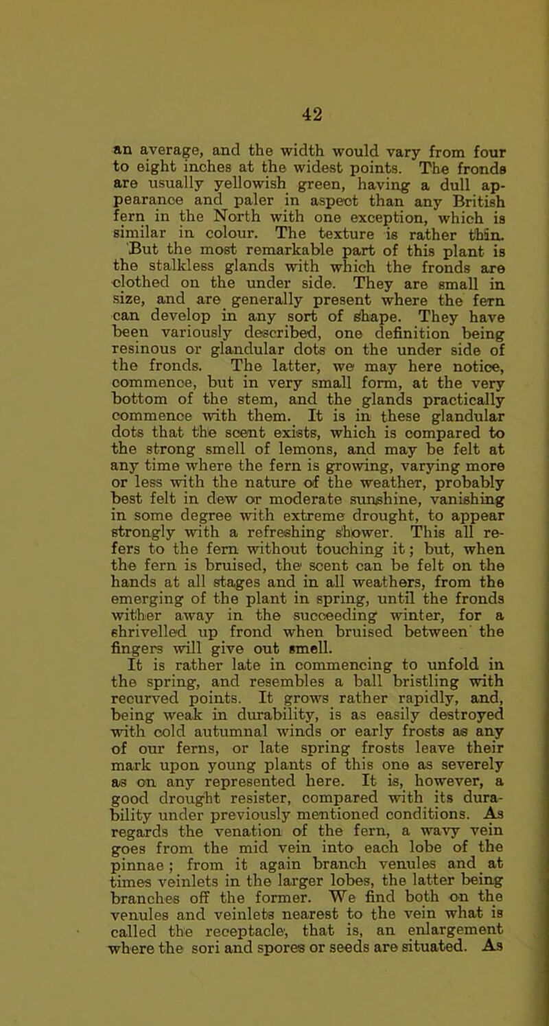 an average, and the width would vary from four to eight inches at the widest points. The fronds are usually yellowish green, having a dull ap- pearance and paler in aspect than any British fern in the North with one exception, which is similar in colour. The texture is rather thin. But the most remarkable part of this plant is the stalkless glands with which the fronds are clothed on the under side. They are small in size, and are generally present where the fern can develop in any sort of Shape. They have been variously described, one definition being resinous or glandular dots on the under side of the fronds. The latter, we may here notice, commence, but in very small form, at the very bottom of the stem, and the glands practically commence with them. It is in these glandular dots that the scent exists, which is compared to the strong smell of lemons, and may be felt at any time where the fern is growing, varying more or less with the nature of the weather, probably best felt in dew or moderate sunshine, vanishing in some degree with extreme drought, to appear strongly with a refreshing shower. This all re- fers to the fern without touching it; but, when the fern is bruised, the scent can be felt on the hands at all stages and in all weathers, from the emerging of the plant in spring, until the fronds wither away in the succeeding winter, for a shrivelled up frond when bruised between the fingers will give out smell. It is rather late in commencing to unfold in the spring, and resembles a ball bristling with recurved points. It grows rather rapidly, and, being weak in durability, is as easily destroyed with cold autumnal winds or early frosts as any of our ferns, or late spring frosts leave their mark upon young plants of this one as severely as on any represented here. It is, however, a good drought resister, compared with its dura- bility under previously mentioned conditions. As regards the venation of the fern, a wavy vein goes from the mid vein into each lobe of the pinnae; from it again branch venules and at times veinlets in the larger lobes, the latter being branches off the former. We find both on the venules and veinlets nearest to the vein what is called the receptacle, that is, an enlargement where the sori and spores or seeds are situated. As