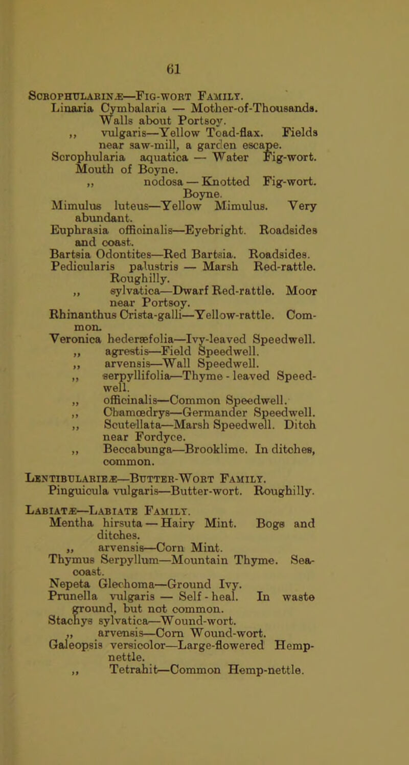 til SCBOPHTJLAEINi—FlG-WORT FAMILY. Liuaria Cymbalaria — Mother-of-Thousands. Walls about Portsoy. ,, vulgaris—Yellow Toad-flax. Fields near saw-mill, a garden escape. Scrophularia aquatica — Water Fig-wort. Mouth of Boyne. ,, nodosa — Knotted Fig-wort. Boyne. Mimulus luteus—Yellow Mimulus. Very abundant. Euphrasia offioinalis—Eyebright. Roadsides and coast. Bartsia Odontites—Red Bartaia. Roadsides. Pedicularis palustris — Marsh Red-rattle. Rough illy. „ sylvatica—Dwarf Red-rattle. Moor near Portsoy. Rhinanthus Crista-galli—Yellow-rattle. Com- mon. Veronica hedenefolia—Ivy-leaved Speedwell. „ agrestis—Field Speedwell. „ arvensis—Wall Speedwell. ,, serpyllifolia—Thyme - leaved Speed- well. „ officinalis—Common Speedwell. ,, Ohamoedrys—Germander Speedwell. ,, Scutellata—Marsh Speedwell. Ditch near Fordyce. ,, Beccabunga—Brooklime. In ditches, common. Lentibtjlarie.e—Btjtter-Wort Family. Pinguicula vulgaris—Butter-wort. Roughilly. Labiate—Labiate Family. Mentha hirsuta — Hairy Mint. Boge and ditches. ,, arvensis—Corn Mint. Thymus Serpyllum—Mountain Thyme. Sea- coast. Nepeta Glechoma—Ground Ivy. Prunella vulgaris — Self - heal. In waste ground, but not common. Stachys sylvatica—Wound-wort. ,, arvensis—Com Wound-wort. Galeopsis versicolor—Large-flowered Hemp- nettle. ,, Tetrahit—Common Hemp-nettle.