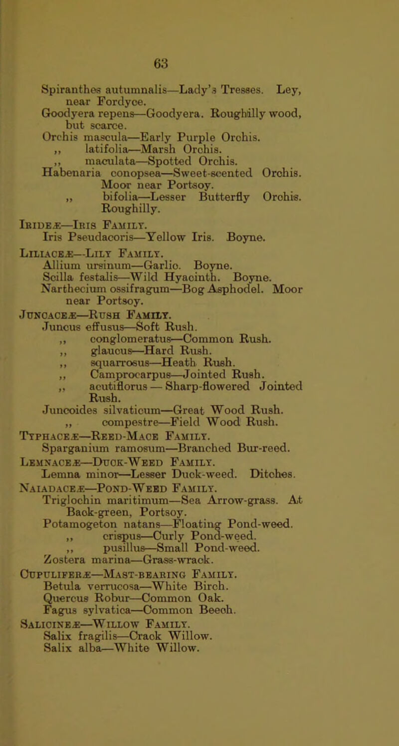 Spiranthes autumnalis—Lady’.? Tresses. Ley, near Fordyce. Goodyera repens—Goodyera. Roughdlly wood, but scarce. Orchis mascula—Early Purple Orchis. ,, latifolia—Marsh Orchis. ,, maculata—Spotted Orchis. Habenaria conopsea—Sweet-scented Orchis. Moor near Portsoy. ,, bifolia—Lesser Butterfly Orchis. Roughilly. Iride.*—Ibis Family. Iris Pseudacoris—Yellow Iris. Boyne. Liliaceaj—Lily Family. Allium ursinum—Garlio. Boyne. Scilla festalis—Wild Hyacinth. Boyne. Narthecium ossifragum—Bog Asphodel. Moor near Portsoy. Juncacea—Rush Family. .Tuncus effusus—Soft Rush. ,, conglomeratus—Common Rush. ,, glaucus—Hard Rush. ,, squarrosus—Heath Rush. ,, Camprocarpus—Jointed Rush. ,, acutiflorus — Sharp-flowered Jointed Rush. Juncoides silvaticum—Great Wood Rush. ,, compestre—Field Wood Rush. Typhacea:—Reed-Mace Family. Sparganium ramosum—Branched Bur-reed. Lemnace*—Duok-Weed Family. Lemna minor—Lesser Duck-weed. Ditohes. Naiad ace.e—Pond-Weed Family. Triglochin maritimum—Sea Arrow-grass. At Baok-green, Portsoy. Potamogeton natans—Floating Pond-weed. ,, crispus—Curly Pond-weed. ,, pusillus—Small Pond-weed. Zostera marina—Grass-wrack. OUPULIFERJE—MaST-BEAHING FAMILY. Betula verrucosa—White Birch. Quercus Robur—Common Oak. Fagus sylvatica—Common Beech. Salicine.e—Willow Family. Salix fragilis—Crack Willow. Salix alba—White Willow.