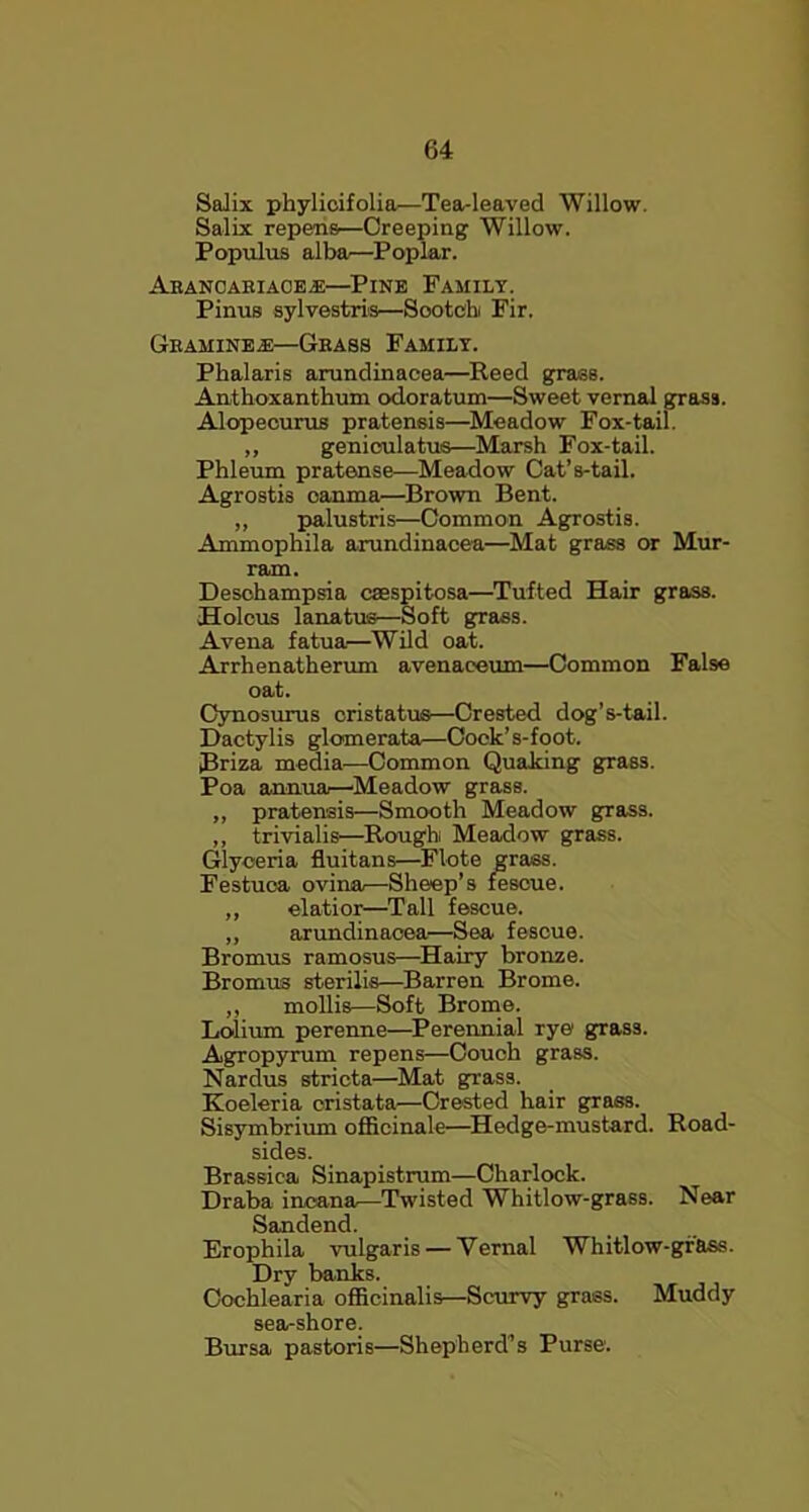 SaJix phylicifolia—Tea-leaved Willow. Salix repens—Creeping Willow. Populus alba—Poplar. Arancakiace.e—Pine Family. Pinus sylvestris—Sootchi Fir. Geamine.®—Grass Family. Phalaris arundinaeea—Reed grass. Anthoxanthum odoratum—Sweet vernal grass. Alopecurus pratensis—Meadow Fox-tail. ,, genioulatus—Marsh Fox-tail. Phleum pratense—Meadow Cat’s-tail. Agrostis oarnna—Brown Bent. ,, palustris—Common Agrostis. Ammophila arundinaeea—Mat grass or Mur- rain. Deschampsia caespitosa—Tufted Hair grass. Holcus lanatus—Soft grass. Avena fatua—Wild oat. Arrhenatherum avenaeeum—Common False oat. Cynosurus cristatus—Crested dog’s-tail. Dactylis glomerata—Cock’s-foot. Briza media—Common Quaking grass. Poa annua—Meadow grass. „ pratensis—Smooth Meadow grass. „ trivialis—Rough Meadow grass. Glyceria fluitans—Flote grass. Festuoa ovina—Sheep’s fescue. „ elatior—Tall fescue. ,, arundinaeea—Sea fescue. Bromus ramosus—Hairy bronze. Bromus sterilis—Barren Brome. ,, mollis—Soft Brome. Lolium perenne—Perennial rye grass. Agropyrum repens—Couch grass. Nardus stricta—Mat grass. Koeleria oristata—Crested hair grass. Sisymbrium officinale—Hedge-mustard. Road- sides. Brassica Sinapistrum—Charlock. Draba incana—Twisted Whitlow-grass. Near Sandend. Erophila vulgaris — Vernal Whitlow-grass. Dry banks. Cochlearia officinalis—Scurvy grass. Muddy sea-shore. Bursa pastoris—Shepherd’s Purse.