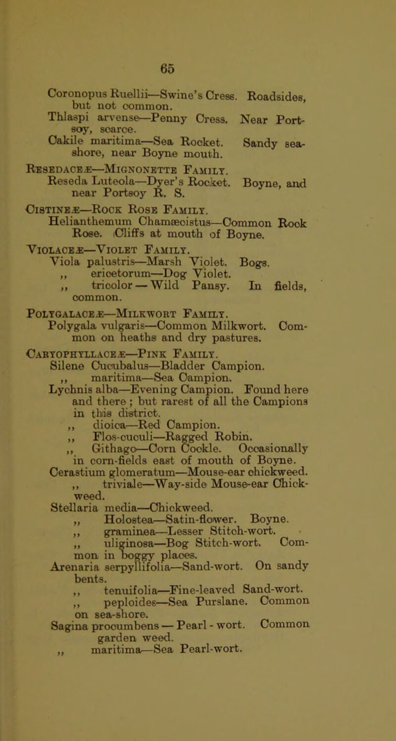 Coronopus Ruellii—Swine’s Cress. Roadsides, but not common. Thlaspi arvense—Penny Cress. Near Port- soy, scarce. Oakile maritime—Sea Rocket. Sandy sea- shore, near Boyne mouth. Resedace.e—Mignonette Family. Reseda Luteola—Dyer’s Rocket. Boyne, and near Portsoy R. S. Oibtines:—Rock Rose Family. Helianthemum Chamreoistus—Common Rook Rose. .Cliffs at mouth of Boyne. Violace-K—Violet Family. Viola palustris—Marsh Violet. Bogs. ,, erioetorum—Dog Violet. „ trioolor — Wild Pansy. In fields, common. POLYGALACE.E—MILKWORT FAMILY. Polygala vulgaris—Common Milkwort. Com- mon on heaths and dry pastures. Caryophyllace.e—Pink Family. Silene Cuctubalus—Bladder Campion. ,, maritima—Sea Campion. Lychnis alba—Evening Campion. Found here and there ; but rarest of all the Campions in this district. ,, dioica—Red Campion. ,, Flos-cuculi—Ragged Robin. ,, Githago—Corn Cookie. Occasionally in corn-fields east of mouth of Boyne. Cerastium glomeratum—Mouse-ear ohickweed. ,, triviale—Way-side Mouse-ear Ohick- weed. Stellaria media—Chiekweed. „ Holostea—Satin-flower. Boyne. ,, graminea—Lesser Stitch-wort. „ uliginosa—Bog Stitch-wort. Com- mon in boggy places. Arenaria serpyllifolia—Sand-wort. On sandy bents. ,, tenuifolia—Fine-leaved Sand-wort. ,, peploides—Sea Purslane. Common on sea-shore. Sagina procumbens — Pearl - wort. Common garden weed. „ maritima—Sea Pearl-wort.