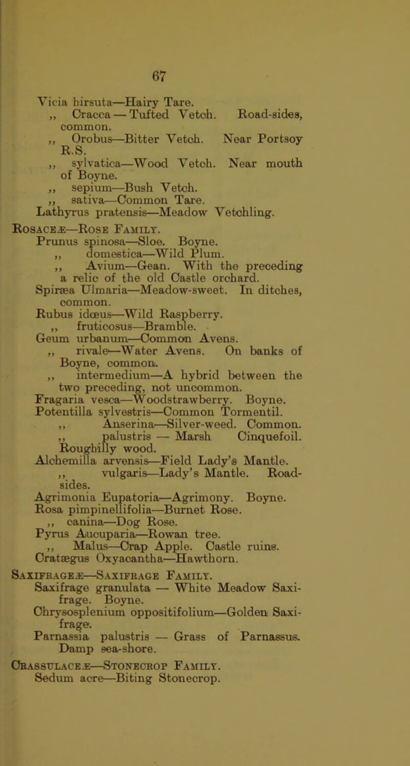 Yicia hirsuta—Hairy Tare. ,, Oracea — Tufted Vetch. Road-sides, common. ,, Orobus—Bitter Vetch. Near Portsoy R.S. ,, sylvatica—Wood Vetch. Near mouth of Boyne. ,, sepium—Bush Vetch. „ sativa—Common Tare. Lathyrus pratensis—Meadow Vetchling. Rosaces—Rose Family. Prunus spinosa—Sloe. Boyne. ,, dome6tica—Wild Plum. ,, Avium—Gean. With the preceding a relic of the old Castle orchard. Spiraea Ulmaria—Meadow-sweet. In ditches, common. Rubus idceus—Wild Raspberry. ,, frutioosus—Bramble. Geum urbanum—Common Avens. „ rivale—Water Avens. On banks of Boyne, common. ,, intermedium—A hybrid between the two preceding, not uncommon. Fragaria vesca—Woodstrawberry. Boyne. Potentilla sylvestris—Common Tormentil. ,, Anserina—Silver-weed. Common. ,, palustris — Marsh Cinquefoil. Roughilly wood. Alchemilla arvensis—Field Lady’s Mantle. ,, vulgaris—Lady’s Mantle. Road- sides. Agrimonia Eupatoria—Agrimony. Boyne. Rosa pimpinellifolia—Burnet Rose. ,, canina—Dog Rose. Pyrus Aucuparia—Rowan tree. ,, Malus—Crap Apple. Castle ruins. Crataegus Oxyacantha—Hawthorn. Saxifrages—Saxifrage Family. Saxifrage granulata —• White Meadow Saxi- frage. Boyne. Chrysosplenium oppositifolium—Golden Saxi- frage. Parnassia palustris — Grass of Parnassus. Damp sea-shore. Orassclace.e—Stonecrop Family. Sedum acre—Biting Stonecrop.