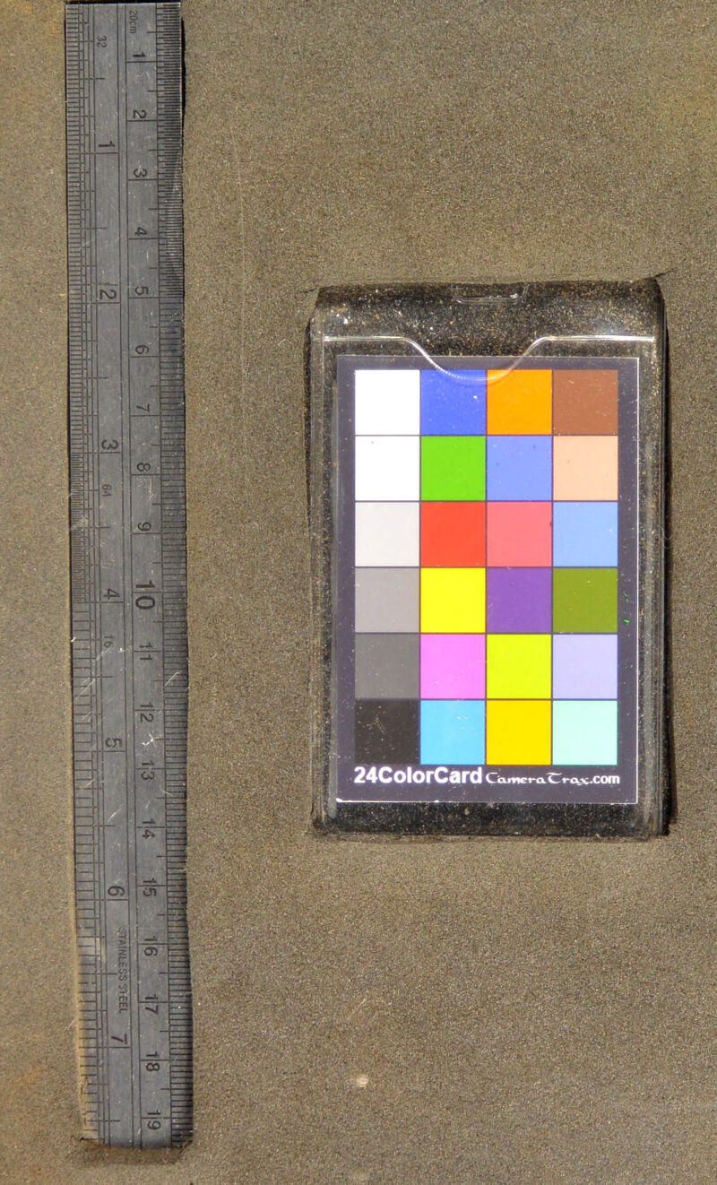24ColorCard C^icufiiict-a.Crt*cLv.