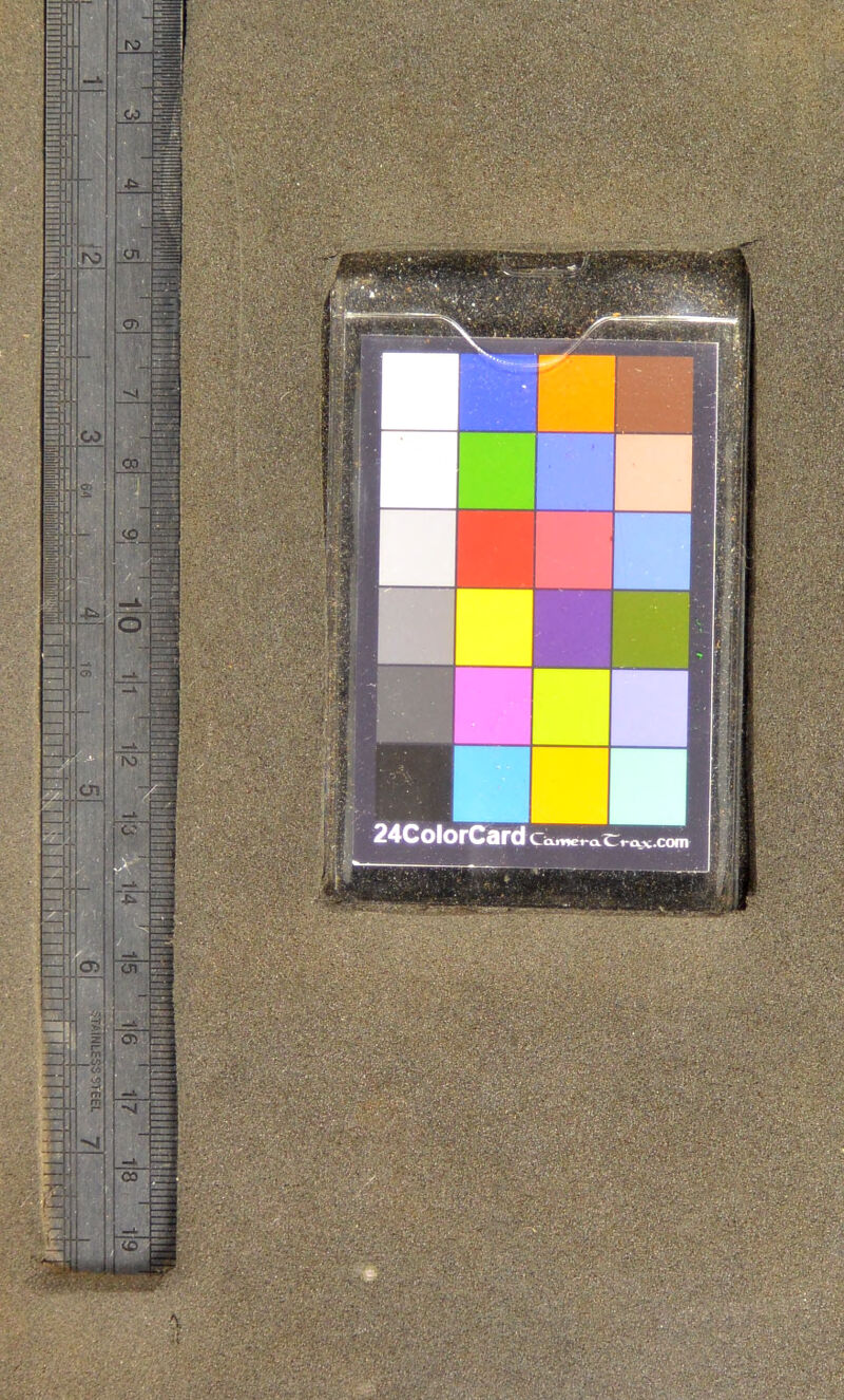 24ColorCard