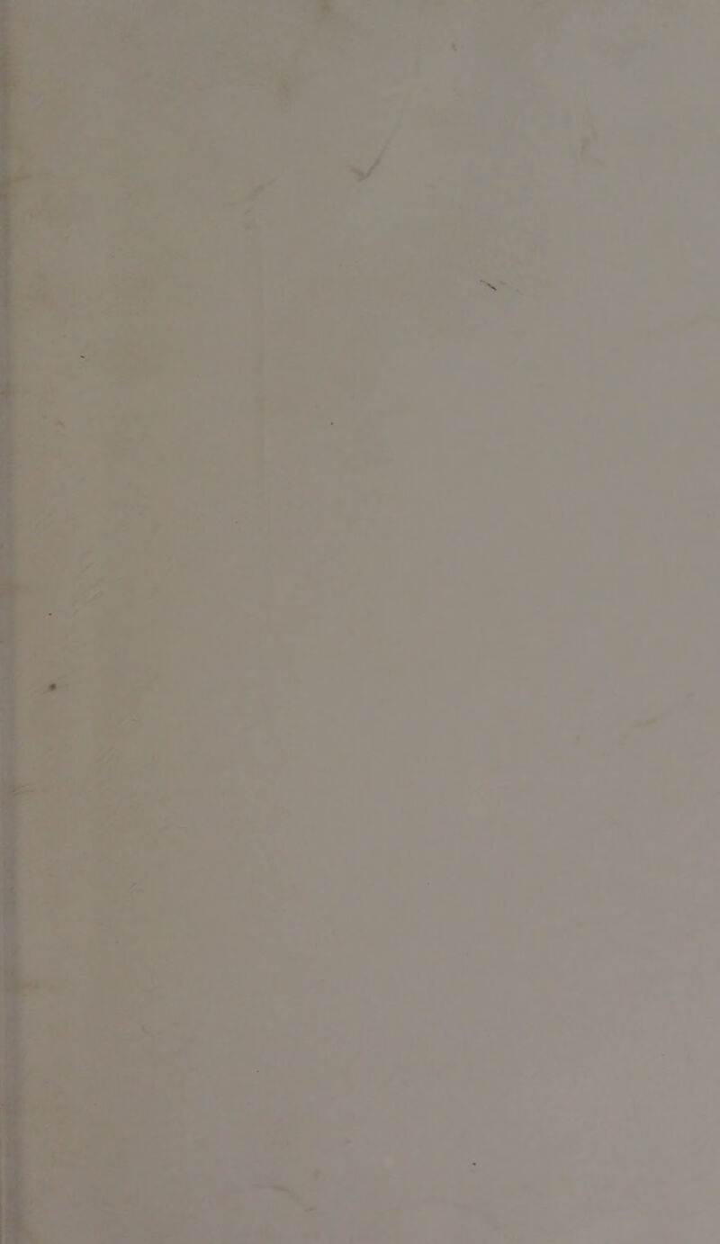 ^V‘*>v l .. ♦. % ■^': ttV'vi