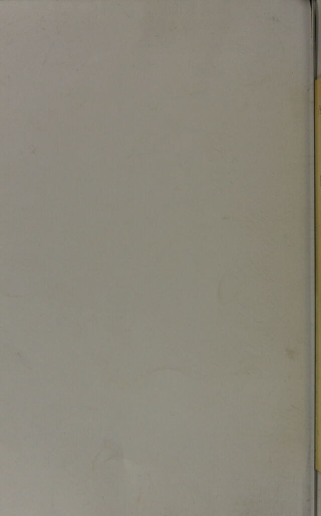digitised image 2
