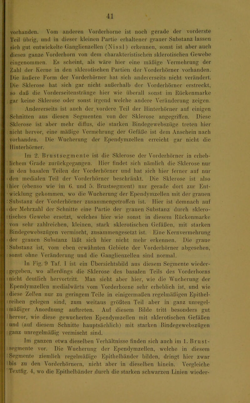 vorhanden. Vom anderen Vorderhorne ist noch gerade der vorderste Teil iil)iig, und in dieser kleinen Partie erhaltener grauer Substanz lassen sich gut entwickelte Ganglienzellen (Nissl) erkennen, sonst ist aber auch dieses ganze Vorderhorn von dem charakteristischen sklerotischen Gewebe eingenommen. Es scheint, als wäre hier eine mäßige Vermehrung der , Zahl der Kerne in den sklerotischen Partien der Vorderhorner vorhanden. I Die äußere Form der Vorderhörner hat sich andererseits nicht verändert. Die Sklerose hat sich gar nicht außerhalb der Vorderhorner erstreckt, .■ so daß die Vorderseitenstränge hier wie überall sonst im Kückenmarke i gar keine Sklerose oder sonst irgend welche andere Veränderung zeigen. Andererseits ist auch der.vordere Teil der Jlinterhörner auf einigen . Schnitten aus diesen Segmenten von der Sklerose angegriffen. Diese - Sklerose ist aber mehr diffus, die starken ßindegewebszüge treten hier 3 nicht hervor, eine mäßige Vermehrung der Gefäße ist dem Anschein nach , vorhanden. Die Wucherung der Ependymzellen erreicht gar nicht die Hinterhörner. Im 2. Krustsegmente ist die Sklerose der Vorderhörner in erheb- lichem Grade zurückgegangen, liier lindet sich nämlich die Sklerose nur in den basalen Teilen der Vorderhörner und hat sich hier ferner auf nur den medialen Teil der Vorderhörner beschränkt. Die Sklerose ist also Ihier (ebenso wie im (J. und ö. Krustsegment) nur gerade dort zur Ent- ’ Wicklung gekommen, wo die Wucherung der Ependymzellen mit der grauen : Substanz der Vorderhörner zusammengctrofi‘en ist. liier ist demnach auf der 3Iehrzahl der Schnitte eine Partie der grauen Substanz durch sklero- tisches Gewebe ersetzt, welches hier wie sonst in diesem Kückenmarke von sehr zahlreichen, kleinen, stark sklerotischen Gefäßen, mit starken Bindegewebszügen vermischt, zusammengesetzt ist. Eine Kernvermehrung ■ der grauen Substanz läßt sich hier nicht mehr erkennen. Die graue Substanz ist, vom eben erwähnten Gebiete der Vorderhörner abgesehen, sonst ohne Veränderung und die Ganglienzellen sind normal. ln Püg. 9 Taf. I ist ein Übersichtsbild aus diesem Segmente wieder- : gegeben, wo allerdings die Sklerose des basalen Teils des Vorderhorns 1 nicht deutlich hervortritt. Man sieht aber hier, wie die Wucherung der Pipendymzellen medialwärts vom A'orderhorne sehr erheblich ist, und wie I diese Zellen nur zu geringem Teile in einigermaßen regelmäßigen Epithel- I reihen gelegen sind, zum weitaus größten Teil aber in ganz unregel- I mäßiger Anordnung auftreten. Auf diesem Bilde tritt besonders gut hervor, wie diese gewucherten Ependymzellen mit sklerotischen Gefäßen und tauf diesem Schnitte hauptsächlich) mit starken Bindegewebszügen ganz unregelmäßig vermischt sind. Im ganzen etwa dieselben Verhältnisse finden sich auch im 1. Brust- segmente vor. Die Wucherung der Ependymzellen, welche in diesem 'Segmente ziemlich regehnäßige Epithelbänder bilden, dringt hier zwar bis zu den Vorderhörnern, nicht aber in dieselben hinein. Vergleiche Te.vtfig. 4, wo die lüpithelbänder durch die starken schwarzen Linien wieder-