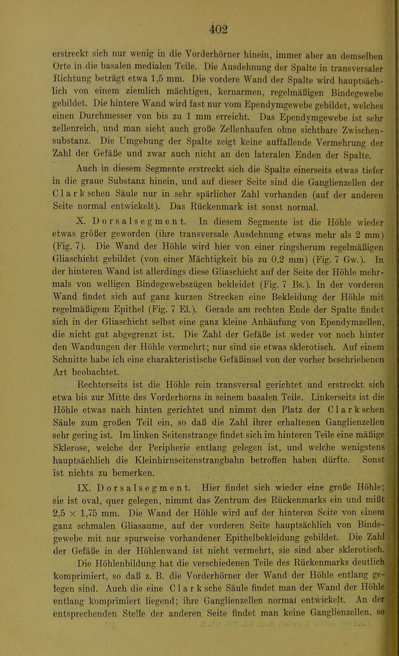 erstreckt sich nur wenig in die Vorderhörner hinein, immer aber an demselben Orte in die basalen medialen Teile. Die Ausdehnung der Spalte in transversaler Richtung beträgt etwa 1,5 mm. Die vordere Wand der Spalte wird hauptsäch- lich von einem ziemlich mächtigen, kernarmen, regelmäßigen Bindegewebe gebildet. Die hintere Wand wird fast nur vom Ependymgewebe gebildet, welches einen Durchmesser von bis zu 1 mm erreicht. Das Ependymgewebe ist sehr zellenreich, und man sieht auch große Zellenhaufen ohne sichtbare Zwischen- substanz. Die Umgebung der Spalte zeigt keine auffallende Vermehrung der Zahl der Gefäße und zwar auch nicht an den lateralen Enden der Spalte. Auch in diesem Segmente erstreckt sich die Spalte einerseits etwas tiefer in die graue Substanz hinein, und auf dieser Seite sind die Ganglienzellen der Clark sehen Säule nur in sein spärlicher Zahl vorhanden (auf der anderen Seite normal entwickelt). Das Rückenmark ist sonst normal. X. Dorsalsegment. In diesem Segmente ist die Höhle wieder etwas größer geworden (ihre transversale Ausdehnung etwas mein als 2 mm) (Fig. 7). Die Wand der Höhle wird hier von einer ringsherum regelmäßigen Gliaschicht gebildet (von einer Mächtigkeit bis zu 0,2 mm) (Fig. 7 Gw.). In der hinteren Wand ist allerdings diese Gliaschicht auf der Seite der Höhle mehr- mals von welligen Bindegewebszügen bekleidet (Fig. 7 Bs.). In der vorderen Wand findet sich auf ganz kurzen Strecken eine Bekleidung der Höhle mit regelmäßigem Epithel (Fig. 7 EL). Gerade am rechten Ende der Spalte findet sich in der Gliaschicht selbst eine ganz kleine Anhäufung von Ependymzellen, die nicht gut abgegrenzt ist. Die Zahl der Gefäße ist weder vor noch hinter den Wandungen der Höhle vermehrt; nur sind sie etwas sklerotisch. Auf einem Schnitte habe ich eine charakteristische Gefäßinsel von der vorher beschriebenen Art beobachtet. Rechterseits ist die Höhle rein transversal gerichtet und erstreckt sich etwa bis zur Mitte des Vorderhorns in seinem basalen Teile. Linkerseits ist die Höhle etwas nach hinten gerichtet und nimmt den Platz der Clark sehen Säule zum großen Teil ein, so daß die Zahl ihrer erhaltenen Ganglienzellen sehr gering ist. Im linken Seitenstrange findet sich im hinteren Teile eine mäßige Sklerose, welche der Peripherie entlang gelegen ist, und welche wenigstens hauptsächlich die Kleinhirnseitenstrangbalm betroffen haben dürfte. Sonst , ist nichts zu bemerken. IX. Dorsalsegment. Hier findet sich wieder eine große Höhle; sie ist oval, quer gelegen, nimmt das Zentrum des Rückenmarks ein und mißt 2,5 x 1,75 mm. Die Wand der Höhle wird auf der hinteren Seite von einem ganz schmalen Gliasaume, auf der vorderen Seite hauptsächlich von Binde- gewebe mit nur spurweise vorhandener Epithelbekleidung gebildet. Die Zahl der Gefäße in der Höhlenwand ist nicht vermehrt, sie sind aber sklerotisch. Die Höhlenbildung hat die verschiedenen Teile des Rückenmarks deutlich komprimiert, so daß z. B. die Vorderhörner der Wand der Höhle entlang ge- legen sind. Auch die eine Clark sehe Säule findet man der Wand der Höhle entlang komprimiert liegend; ihre Ganglienzellen normal entwickelt. An der entsprechenden Stelle der anderen Seite findet man keine Ganglienzellen, so