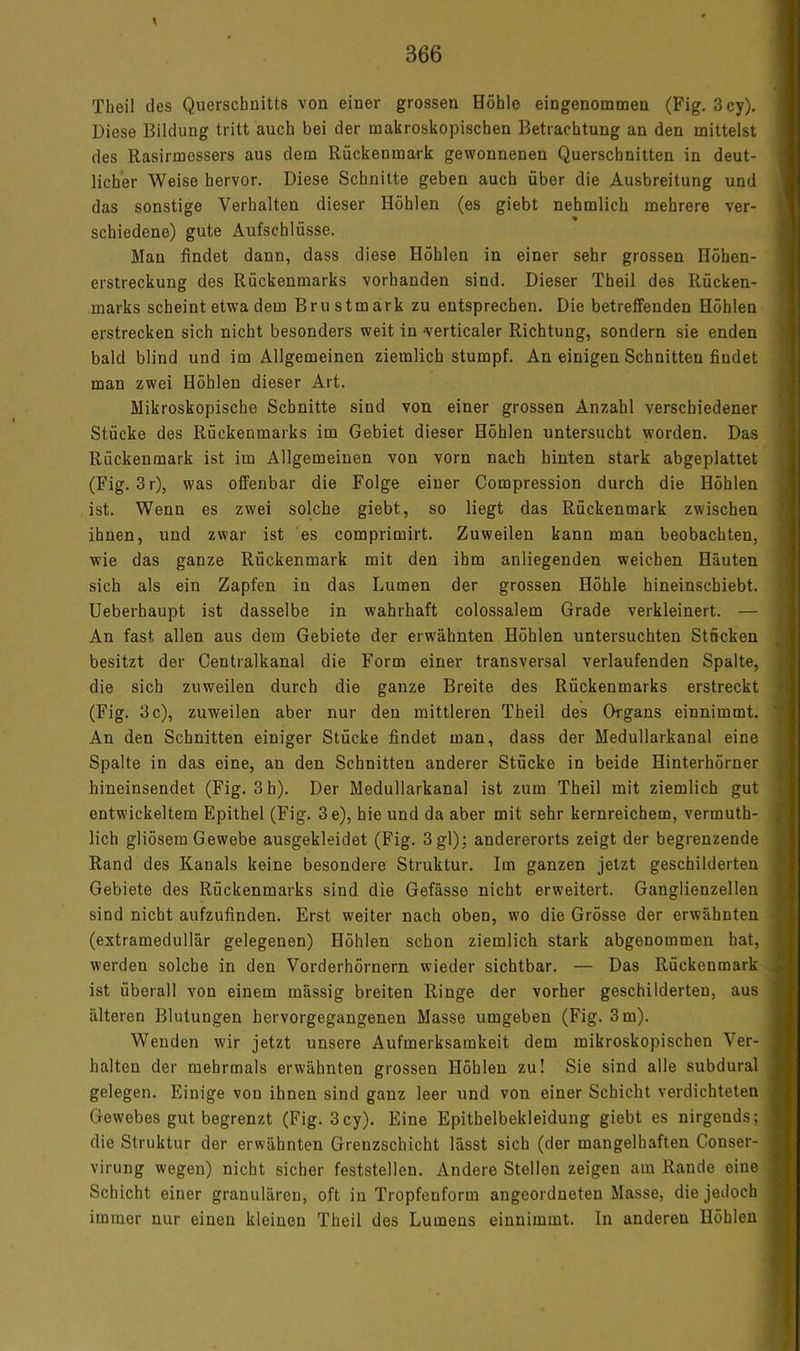 Theil lies Querschnitts von einer grossen Höhle eingenommen (Fig. 3cy). Diese Bildung tritt auch bei der makroskopischen Betrachtung an den mittelst des Rasirmessers aus dem Rückenmark gewonnenen Querschnitten in deut- licher Weise hervor. Diese Schnitte geben auch über die Ausbreitung und das sonstige Verhalten dieser Höhlen (es giebt nehmlich mehrere ver- schiedene) gute Aufschlüsse. Man findet dann, dass diese Höhlen in einer sehr grossen Höhen- erstreckung des Rückenmarks vorhanden sind. Dieser Theil des Rücken- marks scheint etwa dem Brustmark zu entsprechen. Die betreffenden Höhlen erstrecken sich nicht besonders weit in -verticaler Richtung, sondern sie enden bald blind und im Allgemeinen ziemlich stumpf. An einigen Schnitten findet man zwei Höhlen dieser Art. Mikroskopische Schnitte sind von einer grossen Anzahl verschiedener Stücke des Rückenmarks im Gebiet dieser Höhlen untersucht worden. Das Rückenmark ist im Allgemeinen von vorn nach hinten stark abgeplattet (Fig. 3r), was offenbar die Folge einer Compression durch die Höhlen ist. Wenn es zwei solche giebt, so liegt das Rückenmark zwischen ihnen, und zwar ist es comprimirt. Zuweilen kann man beobachten, wie das ganze Rückenmark mit den ihm anliegenden weichen Häuten sich als ein Zapfen in das Lumen der grossen Höhle hineinschiebt. Ueberhaupt ist dasselbe in wahrhaft colossalem Grade verkleinert. — An fast allen aus dem Gebiete der erwähnten Höhlen untersuchten Stöcken besitzt der Centralkanal die Form einer transversal verlaufenden Spalte, die sich zuweilen durch die ganze Breite des Rückenmarks erstreckt (Fig. 3 c), zuweilen aber nur den mittleren Theil des Organs einnimmt. An den Schnitten einiger Stücke findet man, dass der Medullarkanal eine Spalte in das eine, an den Schnitten anderer Stücke in beide Hinterhörner hineinsendet (Fig. 3 h). Der Medullarkanal ist zum Theil mit ziemlich gut entwickeltem Epithel (Fig. 3e), hie und da aber mit sehr kernreichem, vermuth- lich gliösem Gewebe ausgekleidet (Fig. 3 gl); andererorts zeigt der begrenzende Rand des Kanals keine besondere Struktur. Im ganzen jetzt geschilderten Gebiete des Rückenmarks sind die Gefässe nicht erweitert. Ganglienzellen sind nicht aufzufinden. Erst weiter nach oben, wo die Grösse der erwähnten (extramedullär gelegenen) Höhlen schon ziemlich stark abgenommen hat, werden solche in den Vorderhörnern wieder sichtbar. — Das Rückenmark ist überall von einem mässig breiten Ringe der vorher geschilderten, aus älteren Blutungen hervorgegangenen Masse umgeben (Fig. 3 m). Wenden wir jetzt unsere Aufmerksamkeit dem mikroskopischen Ver- halten der mehrmals erwähnten grossen Höhlen zu! Sie sind alle subdural gelegen. Einige von ihnen sind ganz leer und von einer Schicht verdichteten Gewebes gut begrenzt (Fig. 3cy). Eine Epithelbekleidung giebt es nirgends; die Struktur der erwähnten Grenzschicht lässt sich (der mangelhaften Conser- virung wegen) nicht sicher feststellen. Andere Stellen zeigen am Rande eine Schicht einer granulären, oft in Tropfenform angeordneten Masse, die jedoch immer nur einen kleinen Theil des Lumens einnimmt. In anderen Höhlen