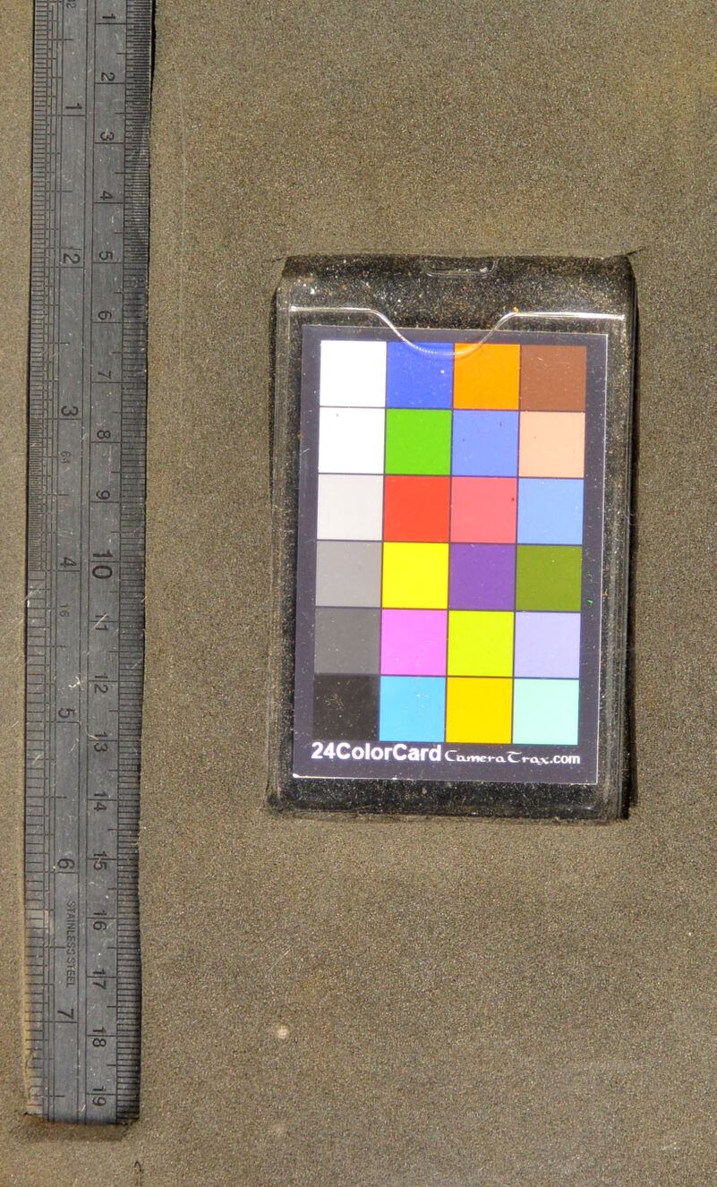 • • yinnlnrrArrl /- ,