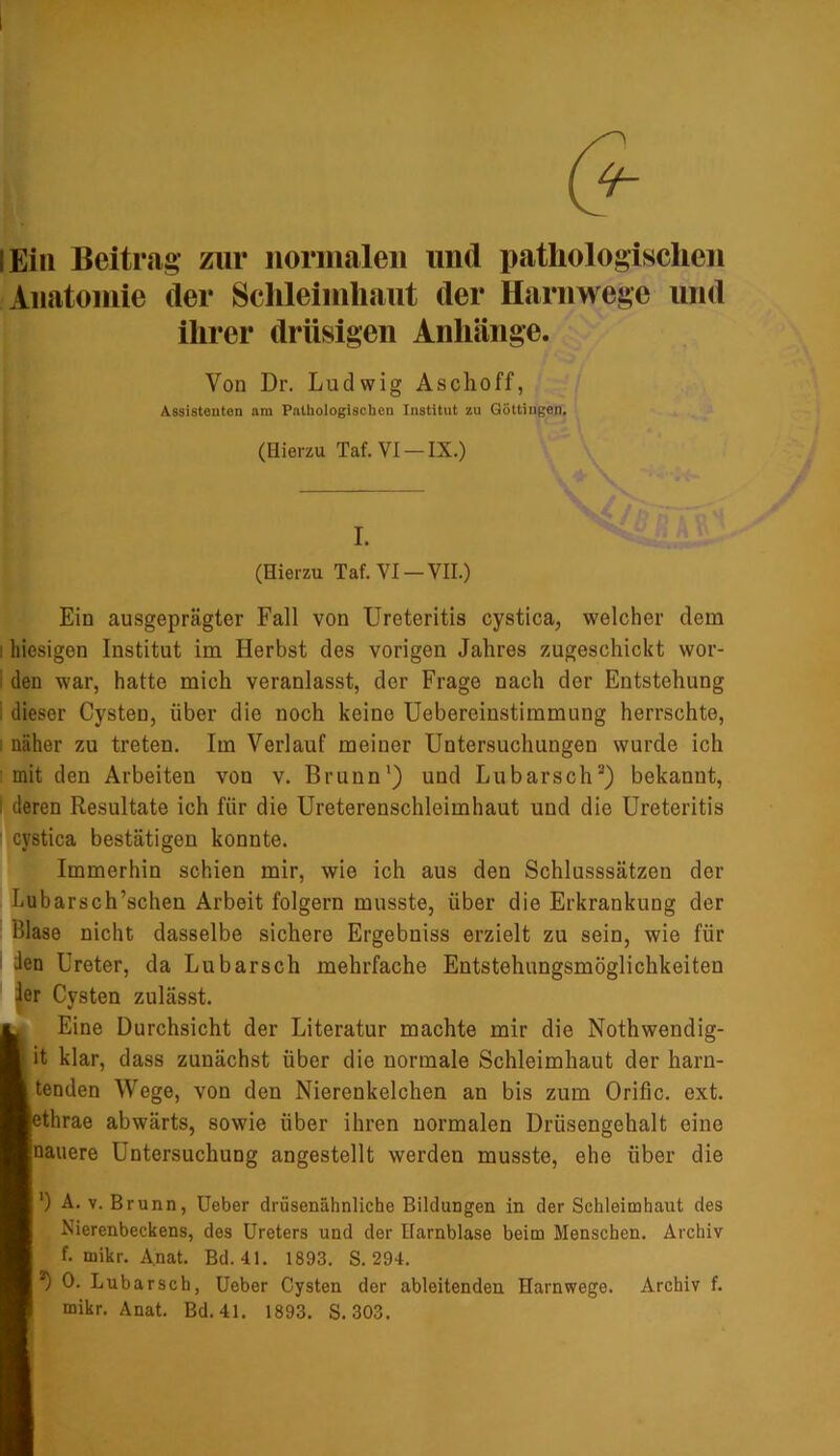 l Ein Beitrag zur normalen und pathologischen Anatomie der Schleimhaut der Harnwege und ihrer drüsigen Anhänge. Von Dr. Ludwig Aschoff, Assistenten am Pathologischen Institut zu Göttingen. (Hierzu Taf.VI —IX.) I. (Hierzu Taf.VI —VII.) Ein ausgeprägter Fall von Ureteritis cystica, welcher dem i hiesigen Institut im Herbst des vorigen Jahres zugeschickt wor- den war, hatte mich veranlasst, der Frage nach der Entstehung dieser Cysten, über die noch keine Uebereinstimmung herrschte, i näher zu treten. Im Verlauf meiner Untersuchungen wurde ich mit den Arbeiten von v. Brunn') und Lubarsch2) bekannt, deren Resultate ich für die Ureterenschleimhaut und die Ureteritis : cvstica bestätigen konnte. Immerhin schien mir, wie ich aus den Schlusssätzen der Lubarsch’schen Arbeit folgern musste, über die Erkrankung der Hlase nicht dasselbe sichere Ergebniss erzielt zu sein, wie für den Ureter, da Lubarsch mehrfache Entstehungsmöglichkeiteu der Cysten zulässt. Eine Durchsicht der Literatur machte mir die Nothwendig- it klar, dass zunächst über die normale Schleimhaut der harn- tenden Wege, von den Nierenkelchen an bis zum Orific. ext. thrae abwärts, sowie über ihren normalen Drüsengehalt eine flauere Untersuchung angestellt werden musste, ehe über die ') A. v. Brunn, Ueber drüsenähnliche Bildungen in der Schleimhaut des Nierenbeckens, des Ureters und der Harnblase beim Menschen. Archiv f. rnikr. Anat. Bd. 41. 1893. S. 294. *) O- Lubarsch, Ueber Cysten der ableitenden Harnwege. Archiv f. mikr. Anat. Bd. 41. 1893. S. 303.