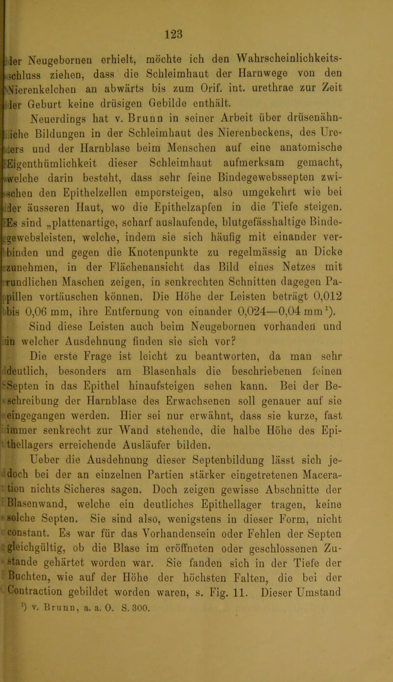 ler Neugeboruen erhielt, möchte ich den Wahrscheinlichkeits- Schluss ziehen, dass die Schleimhaut der Harnwege von den 'Nierenkelchen an abwärts bis zum Orif. int. urethrae zur Zeit ler Geburt keine drüsigen Gebilde enthält. Neuerdings hat v. Brunn in seiner Arbeit über drüsenähn- .iche Bildungen in der Schleimhaut des Nierenbeckens, des Ure- ters und der Harnblase beim Menschen auf eine anatomische Eigenthiimlichkeit dieser Schleimhaut aufmerksam gemacht, -welche darin besteht, dass sehr feine Bindegewebssepten zwi- schen den Epithelzellen emporsteigen, also umgekehrt wie bei ler äusseren Haut, wo die Epithelzapfen in die Tiefe steigen. Es sind „plattenartige, scharf auslaufende, blutgefässhaltige Binde- .gewebsleisten, welche, indem sie sich häufig mit einander ver- binden und gegen die Knotenpunkte zu regelmässig au Dicke zunehmen, in der Flächenansicht das Bild eines Netzes mit rundlichen Maschen zeigen, in senkrechten Schnitten dagegen Pa- pillen Vortäuschen können. Die Höhe der Leisten beträgt 0,012 bis 0,06 mm, ihre Entfernung von eiuander 0,024—0,04 mm1). Sind diese Leisten auch beim Neugeboruen vorhanden und iin welcher Ausdehnung finden sie sich vor? Die erste Frage ist leicht zu beantworten, da man sehr deutlich, besonders am Blasenhals die beschriebenen feinen 'Septen in das Epithel hinaufsteigen sehen kann. Bei der Be- schreibung der Harnblase des Erwachsenen soll genauer auf sie eingegangen werden. Hier sei nur erwähnt, dass sie kurze, fast immer senkrecht zur Wand stehende, die halbe Höhe des Epi- thellagers erreichende Ausläufer bilden. Ueber die Ausdehnung dieser Septenbildung lässt sich je- doch bei der an einzelnen Partien stärker eingetretenen Macera- tion nichts Sicheres sagen. Doch zeigen gewisse Abschnitte der Blasenwand, welche ein deutliches Epithellager tragen, keine solche Septen. Sie sind also, wenigstens in dieser Form, nicht constant. Es war für das Vorhandensein oder Fehlen der Septen gleichgültig, ob die Blase im eröffneten oder geschlossenen Zu- stande gehärtet worden war. Sie fanden sich in der Tiefe der - Buchten, wie auf der Höhe der höchsten Falten, die bei der Contraction gebildet worden waren, s. Fig. 11. Dieser Umstand