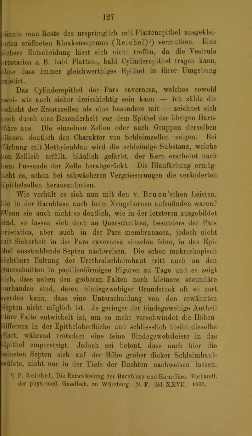önnto man Reste des ursprünglich mit Plattenepithel ausgeklei- eten eröffneten Kloakenseptums (Reichel)1) vermuthen. Eine ichere Entscheidung lässt sich nicht treffen, da die Vesicula rostatica z. B. bald Platten-, bald Cylinderepithel tragen kann, hno dass immer gleichwerthiges Epithel in ihrer Umgebung xistirt. Das Cylinderepithel der Pars cavernosa, welches sowohl ■wei- wie auch sicher dreischichtig sein kann — ich zähle die chicht der Ersatzzellen als eine besondere mit — zeichnet sich i och durch eine Besonderheit vor dem Epithel der übrigen Harn- öhre aus. Die einzelnen Zellen oder auch Gruppen derselben önnen deutlich den Charakter von Schleimzellcn zeigen. Bei arbung mit Methylenblau wird die schleimige Substanz, welche en Zellleib erfüllt, bläulich gefärbt, der Kern erscheint nach I em Fussende der Zelle herabgerückt. Die Blaufärbung ermög- licht es, schon bei schwächeren Vergrösseruugen die veränderten ippithelzellen herauszufinden. Wie verhält es sich nun mit den v. Brunn’schen Leisten, i ie in der Harnblase auch beim Neugebornen aufzufinden waren? Wenn sie auch nicht so deutlich, wie in der letzteren ausgebildet ind, so lassen sich doch an Querschnitten, besonders der Pars •■rostatica, aber auch in der Pars membranacea, jedoch nicht lit Sicherheit in der Pars cavernosa einzelne feine, in das Epi- liel ausstrahlende Sopten nachweisen. Die schon makroskopisch ichtbare Faltung der Urethralschleimhaut tritt auch an den Querschnitten in papillenförmigen Figuren zu Tage und es zeigt ich, dass neben den gröberen Falten noch kleinere secundäre orhanden sind, deren bindegewebiger Grundstock oft so zart werden kann, dass eine Unterscheidung von den erwähnten •iepten nicht möglich ist. Je geringer der bindegewebige Antheil iner Falte entwickelt ist, um so mehr verschwindet die Höhen- differenz in der Epithelobcrfläche uud schliesslich bleibt dieselbe ■;latt, während trotzdem eine feine Bindegewebsleiste in das Spithel emporsteigt. Jedoch sei betont, dass auch hier die einsten Septen sich auf der Höhe grober dicker Schloimhaut- vülste, nicht nur in der Tiefe der Buchten nachweisen lassen. ’) P. Reichel, Die Entwickelung der Harnblase und Harnröhre. Verband]. der pbys.-med. Gesellsch. zu Würzburg. N. F. Bd. XXVII. 1893.