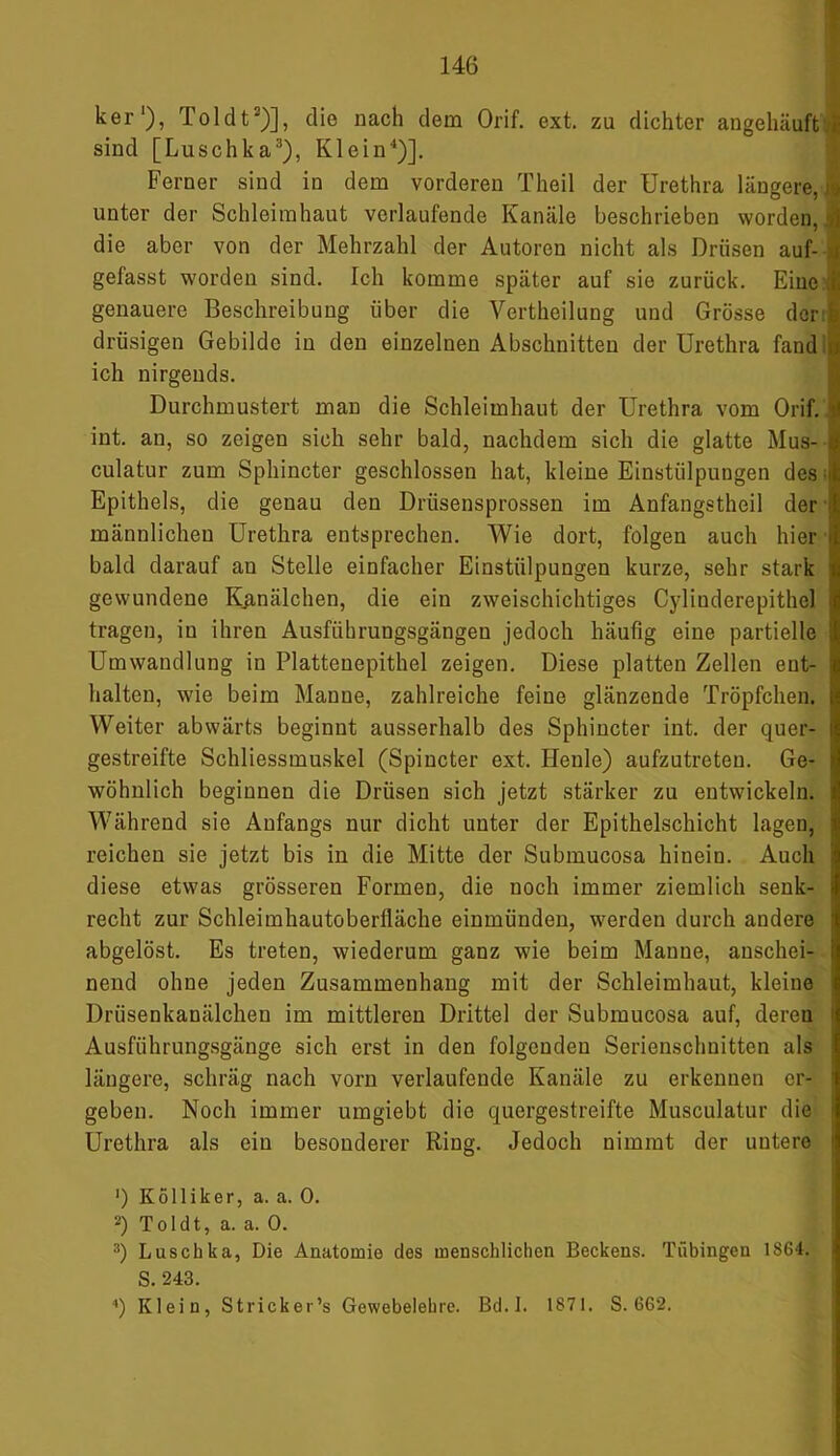 ker'), Toldt2)], die nach dem Orif. ext. zu dichter angehäuft.i: sind [Luschka3), Klein4)]. Ferner sind in dem vorderen Theil der Urethra längere, | unter der Schleimhaut verlaufende Kanäle beschrieben worden, die aber von der Mehrzahl der Autoren nicht als Drüsen auf- i gefasst worden sind. Ich komme später auf sie zurück. Eine i genauere Beschreibung über die Vertheilung und Grösse dorij drüsigen Gebilde in den einzelnen Abschnitten der Urethra fand A ich nirgends. Durchmustert man die Schleimhaut der Urethra vom Orif. 1 int. an, so zeigen sich sehr bald, nachdem sich die glatte Mus- culatur zum Sphincter geschlossen hat, kleine Einstülpungen des] Epithels, die genau den Drüsensprossen im Anfangstheil der männlichen Urethra entsprechen. Wie dort, folgen auch hier bald darauf an Stelle einfacher Einstülpungen kurze, sehr stark gewundene Kjmälchen, die ein zweischichtiges Cylinderepithel tragen, in ihren Ausführungsgängen jedoch häufig eine partielle Umwandlung in Plattenepithel zeigen. Diese platten Zellen ent- halten, wie beim Manne, zahlreiche feine glänzende Tröpfchen. Weiter abwärts beginnt ausserhalb des Sphincter int. der quer- gestreifte Schliessmuskel (Spincter ext. ILenle) aufzutreten. Ge- wöhnlich beginnen die Drüsen sich jetzt stärker zu entwickeln. Während sie Anfangs nur dicht unter der Epithelschicht lagen, reichen sie jetzt bis in die Mitte der Submucosa hinein. Auch diese etwas grösseren Formen, die noch immer ziemlich senk- recht zur Schleimhautoberiläche einmünden, werden durch andere abgelöst. Es treten, wiederum ganz wie beim Manne, anschei- nend ohne jeden Zusammenhang mit der Schleimhaut, kleine Drüsenkanälchen im mittleren Drittel der Submucosa auf, deren Ausführungsgänge sich erst in den folgenden Seriensclmitten als längere, schräg nach vorn verlaufende Kanäle zu erkennen er- geben. Noch immer umgiebt die quergestreifte Musculatur die Urethra als ein besonderer Ring. Jedoch nimmt der untere ') Kolli ker, a. a. 0. 2) Toldt, a. a. 0. 3) Luschka, Die Anatomio des menschlichen Beckens. Tübingen 1864. S. 243. 4) Klein, Stricker’s Gewebelehre. Bd.I. 1871. S. 662.