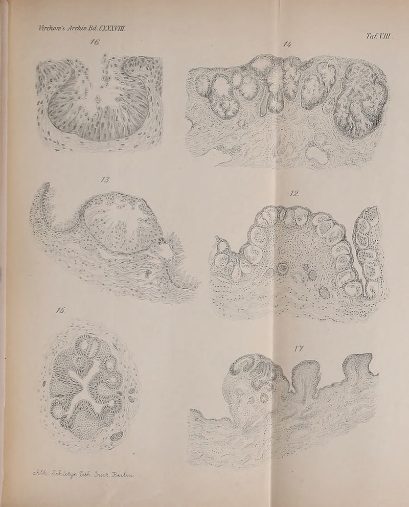 lirthow 's Archiv Bd. CXXXi TU 76 id/: vw. esJAy -%M_C