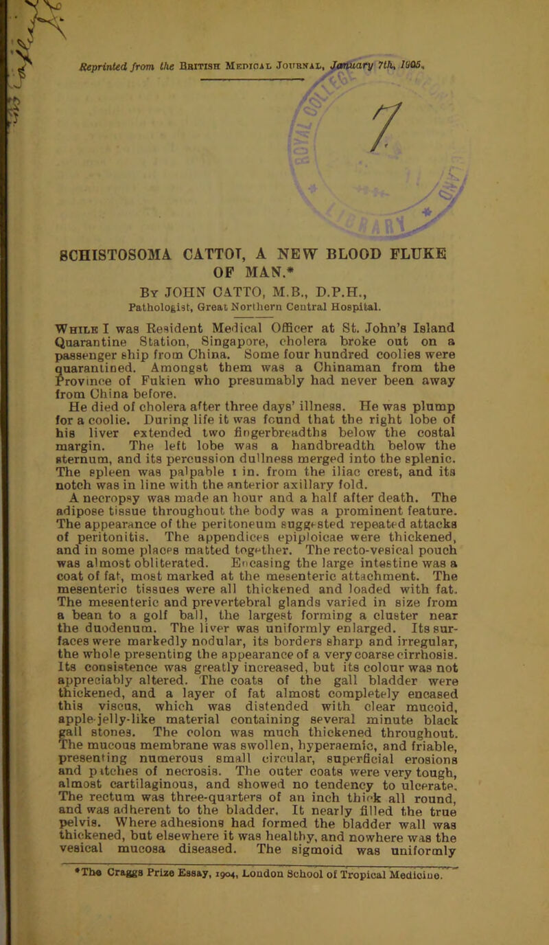 Reprinted from the Bbitish Mepicil Journai., January 7th, I'JOS, 8CHISTOSOMA. CATTOT, A NEW BLOOD FLUKE OF MAN* By JOHN OATTO, M.B., D.P.H., Pathologist, Great Nortliern Central Hospital. While I was Resident Medical Officer at St.John’s Island Quarantine Station, Singapore, cholera broke out on a passenger ship from China. Some four hundred coolies were quarantined. Amongst them was a Chinaman from the Province of Fukien who presumably had never been away from China before. He died of cholera after three days’ illness. He was plump for a coolie. During life it was found that the right lobe of his liver extended two fingerbreadths below the costal margin. The left lobe was a handbreadth below the sternum, and its percussion dullness merged into the splenic. The spleen was palpable i in. from the iliac crest, and its notch was in line with the anterior axillary fold. A necropsy was made an hour and a half after death. The adipose tissue throughout the body was a prominent feature. The appearance of the peritoneum suggested repeated attacks of peritonitis. The appendices epiploicae were thickened, and in some places matted together. The recto-vesical pouch was almost obliterated. Encasing the large intestine was a coat of fat, most marked at the mesenteric attachment. The mesenteric tissues were all thickened and loaded with fat. The mesenteric and prevertebral glands varied in size from a bean to a golf ball, the largest forming a cluster near the duodenum. The liver was uniformly enlarged. Its sur- faces were markedly nodular, its borders sharp and irregular, the whole presenting the appearance of a very coarse cirrhosis. Its consistence was greatly increased, but its colour was not appreciably altered. The coats of the gall bladder were thickened, and a layer of fat almost completely encased this viscus, which was distended with clear mucoid, apple-jelly-like material containing several minute black gall stones. The colon was much thickened throughout. The mucous membrane was swollen, hyperaemic, and friable, presenting numerous small circular, superficial erosions and p itches of necrosis. The outer coats were very tough, almost cartilaginous, and showed no tendency to ulcerate. The rectum was three-quarters of an inch thick all round, and was adherent to the bladder. It nearly filled the true pelvis. Where adhesions had formed the bladder wall was thickened, but elsewhere it was healthy, and nowhere was the vesical mucosa diseased. The sigmoid was uniformly *Th« Graggs Priae Essay, 1904, London School of Tropical Medicine.