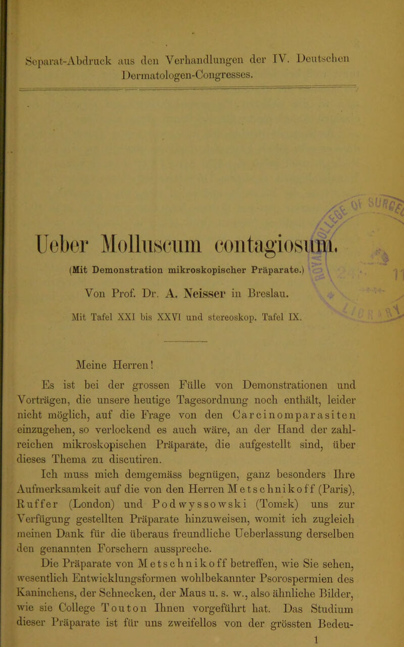 Scpamt-Abdruck aus den Verhandlungen der IV. Dcutsclicn Derinatologen-Congresses. Es ist bei der grossen Fülle von Demonstrationen und Vorträgen, die unsere heutige Tagesordnung noch enthält, leider nicht möglich, auf die Frage von den Carcinomparasiten einzugehen, so verlockend es auch wäre, an der Hand der zahl- reichen mikroskopischen Präparate, die aufgestellt sind, über dieses Thema zu discutiren. Ich muss mich demgemäss begnügen, ganz besonders Ihre Aufmerksamkeit auf die von den Herren Metschnikoff (Paris), R u f f e r (London) und P o d w y s s o w s k i (Tomgk) uns zur Verfügung gestellten Präparate hinzuweisen, womit ich zugleich meinen Dank für die überaus freundliche Ueberlassung derselben den genannten Forschern ausspreche. Die Präparate von Metschnikoff betreffen, wie Sie sehen, wesentlich Entwicklungsformen wohlbekannter Psorospermien des Kaninchens, der Schnecken, der Maus u. s. w., also ähnliche Bilder, wie sie College Touton Ihnen vorgeführt hat. Das Studium dieser Präparate ist für uns zweifellos von der grössten Bedeu- (Mit Demonstration mikroskopischer Präparate.) Von Prof. Dr. A, Neisser in Breslau. Mit Tafel XXI bis XXVI und Stereoskop. Tafel IX. Meine Herren!