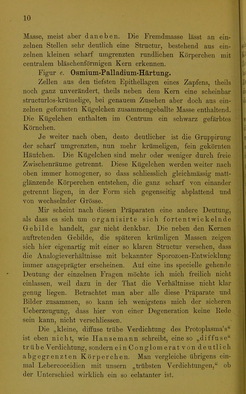 Masse, meist aber daneben. Die Fremdmasse lässt an ein- zelnen Stellen sehr deutlich eine Structur, bestehend aus ein- zelnen kleinen scharf umgrenzten rundlichen Körperchen mit centralem bläschenförmigen Kern erkennen. Figur e. Osmium-Palladium-Härtung. Zellen aus den tiefsten Epithellagen eines Zapfens, theils noch ganz unverändert, theils neben dem Kern eine scheinbar structurlos-krümelige, bei genauem Zusehen aber doch aus ein- zelnen geformten Kügelchen zusammengeballte Masse enthaltend. Die Kügelchen enthalten im Centrum ein schwarz gefärbtes Körnchen. Je weiter nach oben, desto deutlicher ist die Gruppirung der scharf umgrenzten, nun mehr krümeligen, fein gekörnten Häufchen. Die Kügelchen sind mehr oder weniger durch freie Zwischenräume getrennt. Diese Kügelchen werden weiter nach oben immer homogener, so dass schliesslich gleichmässig matt- glänzende Körperchen entstehen, die ganz scharf von einander getrennt liegen, in der Form sich gegenseitig abplattend und von wechselnder Grösse. Mh' scheint nach diesen Präparaten eine andere Deutung, als dass es sich um organisirte sich fortentwickelnde Gebilde handelt, gar nicht denkbar. Die neben den Kernen auftreteuden Gebilde, die späteren krümligen Massen zeigen sich hier eigenartig mit einer so klaren Structur versehen, dass die Analogieverhältnisse mit bekannter Sporozoen-Entwicklung immer ausgeprägter erscheinen. Auf eine ins specielle gehende Deutung der einzelnen Fragen möchte ich mich freilich nicht einlassen, weil dazu in der That die Verhältnisse nicht klar genug liegen. Betrachtet man aber alle diese Präparate und Bilder zusammen, so kann ich wenigstens mich der sicheren Ueberzeugung, dass hier von einer Degeneration keine Rede sein kann, nicht verschliessen. Die „kleine, diffuse trübe Verdichtung des Protoplasma’s“ ist eben nicht, wie Hansemann schreibt, eine so „diffuse“ trübe Verdichtung, sondern ein Conglom erat von deutlich abgegrenzten Körperchen. Man vergleiche übrigens ein- mal Lebercoccidien mit unsern „ti’übsten Verdichtungen,“ ob der Unterschied wirklich ein so eclatanter ist.