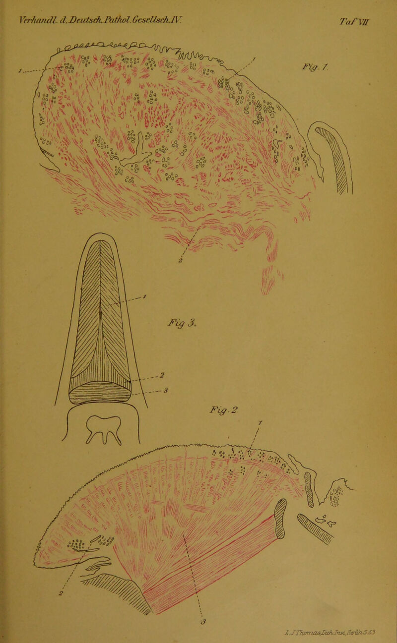 f J WhimcU. d. Drirfsdi, Patkol. GtseUsch, Jl 7aPW \ if Z.J'/7ißT7ias^tc^ßTM, SerihS SS