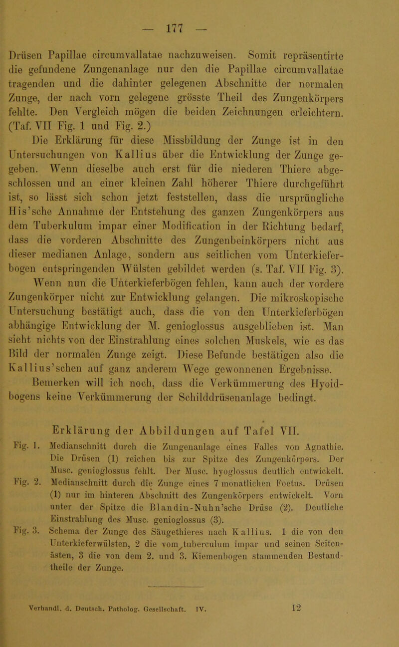 Drüsen Papillae circumvallatae nachzuweisen. Somit repräsentirte die gefundene Zungenanlage nur den die Papillae circumvallatae tragenden und die dahinter gelegenen Abschnitte der normalen Zunge, der nach vorn gelegene grösste Theil des Zungenkörpers fehlte. Den Vergleich mögen die beiden Zeichnungen erleichtern. (Taf. VII Fig. 1 und Fig. 2.) Die Erklärung für diese Missbildung der Zunge ist in den Üntersuchungen von Kallius über die Entwicklung der Zunge ge- geben. Wenn dieselbe auch erst für die niederen Thiere abge- schlossen und an einer kleinen Zahl höherer Thiere durchseführt ist, so lässt sich schon jetzt feststellen, dass die ursprüngliche Ilis’sche Annahme der Entstehung des ganzen Zungenkörpers aus dem 'ruberkulum impar einer Modilication in der Richtung bedarf, dass die vorderen Abschnitte des Zungenbeinkörpers nicht aus dieser medianen Anlage, sondern aus seitlichen vom Unterkiefer- bogen entspringenden Wülsten gebildet werden (s. Taf. \DI k'ig. 8). Wenn nun die Uhterkieferbögen fehlen, kann auch der vordere Zungenkörper nicht zur Entwicklung gelangen. Die mikroskopische Untersuchung bestätigt auch, dass die von den Unterkieferbögen abhängige Entwicklung der M. genioglossus ausgeblieben ist. Man sieht nichts von der Einstrahlung eines solchen Muskels, wie es das Hild der normalen Zunge zeigt. Diese Befunde bestätigen also die Kallius’schen auf ganz anderem Wege gewonnenen Ergebnisse. Bemerken will ich noch, dass die Verkümmerung des llyoid- bogens keine Verkümmerung der Schilddrüsenanlage bedingt. Erklärung der Abbildungen auf Tafel VII. Fig. I. Medianschnitt durch die Zungenaulage eines Falles von Agnathie. l)ie Drüsen (1) reichen bis zur Spitze des Zungenkörpers. Der Muse, genioglossus fehlt. Der Muse, hyoglossus deutlich entwickelt. Fig. 2. Mediauschnitt durch die Zunge eines 7 monatlichen Foetus. Drüsen (1) nur im hinteren Abschnitt des Zungeukörpers entwickelt. Vorn unter der Spitze die Blandiii-Nuhn’sche Drüse (2). Deutliche Einstrahlung des Muse, genioglossus (3). Fig. 3. Schema der Zunge des Säugethieres nach Kallius. 1 die von den Unterkieferwülsten, 2 die vom^tuberculum impar und seinen Seiten- ästen, 3 die von dem 2. und 3. Kiemenbogen stammenden Bestand- theile der Zunge. Verliandl. d. Deutsch. Piitholog. OesellHclmft. IV. 12