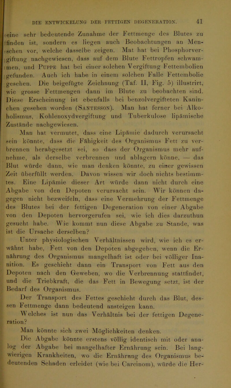 eine sehr bedeutende Zunahme der Fettmenge des Blutes zu finden ist, sondern es liegen auch Beobachtungen au Men- schen vor, welche dasselbe zeigen. Mat hat bei Phosphorver- triftunu' nachgewiesen, dass auf dem Blute Fettropfen schwam- imen, und Puppe hat bei einer solchen Vergiftung Fettembolien «befunden. Auch ich habe in einem solchen Falle Fettembolie gesehen. Die beigefügte Zeichnung (Taf. 11, Fig. 5) illustrirt, wie «rosse Fettmengen dann im Blute zu beobachten sind. Diese Erscheinung ist ebenfalls bei benzolvergifteten Kanin- chen gesehen worden (Santesson). Man hat ferner bei Alko- holismus, Kohlenoxydvergiftung und Tuberkulose lipämische Zustände nachgewiesen. Man hat vermutet, dass eine Lipämie dadurch verursacht sein könnte, dass die Fähigkeit des Organismus Fett zu ver- brennen herabgesetzt sei, so dass der Organismus mehr auf- nehme, als derselbe verbrennen und ablagern könne, — das Blut würde dann, wie man denken könnte, zu einer gewissen Zeit überfüllt werden. Davon wissen wir doch nichts bestimm- tes. Eine Lipämie dieser Art würde dann nicht durch eine Abgabe von den Depoten verursacht sein. Wir können da- gegen nicht bezweifeln, dass eine Vermehrung der Fettmenge des Blutes bei der fettigen Degeneration von einer Abgabe von den Depoten hervorgerufen sei, wie ich dies darzuthun gesucht habe. Wie kommt nun diese Abgabe zu Stande, was ist die Ursache derselben? Unter physiologischen Verhältnissen wird, wie ich es er- wähnt habe, Fett von den Depoten abgegeben, wenn die Er- nährung des Organismus mangelhaft ist oder bei völliger Ina- nition. Es geschieht dann ein Transport von Fett aus den Depoten nach den Geweben, wo die Verbrennung stattfindet, und die Triebkraft, die das Fett in Beweguno; setzt, ist der Bedarf des Organismus. Der Transport des Fettes geschieht durch das Blut, des- sen Fettmenge dann bedeutend ansteigen kann. Welches ist nun das Verhältnis bei der fettigen Degene- ration? Man könnte sich zwei Möglichkeiten denken. Die Abgabe könnte erstens völlig identisch mit oder ana- log der Abgabe bei mangelhafter Ernährung sein. Bei lang- wierigen Krankheiten, wo die Ernährung des Organismus be- deutenden Schaden erleidet (wie bei Carcinom), würde die Her-