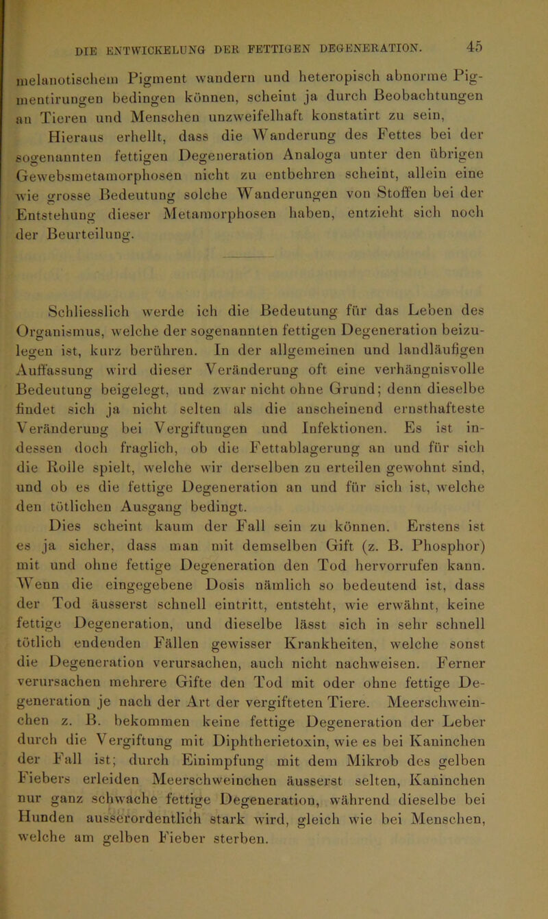 melanotischeni Pigment wandern und heteropisch abnorme Pig- mentirungen bedingen können, scheint ja durch Beobachtungen an Tieren und Menschen unzweifelhaft konstatirt zu sein, Hieraus erhellt, dass die Wanderung des Fettes bei der sogenannten fettigen Degeneration Analoga unter den übrigen Gewebsmetamorphosen nicht zu entbehren scheint, allein eine wie grosse Bedeutung solche Wanderungen von Stoffen bei der Entstehung dieser Metamorphosen haben, entzieht sich noch der Beurteilung. Schliesslich werde ich die Bedeutung für das Leben des Organismus, welche der sogenannten fettigen Degeneration beizu- legen ist, kurz berühren. In der allgemeinen und landläufigen Auffassung wird dieser Veränderung oft eine verhängnisvolle Bedeutung beigelegt, und zwar nicht ohne Grund; denn dieselbe findet sich ja nicht selten als die anscheinend ernsthafteste Veränderung bei Vergiftungen und Infektionen. Es ist in- dessen doch fraglich, ob die Fettablagerung an und für sich die Rolle spielt, welche wir derselben zu erteilen gewohnt sind, und ob es die fettige Degeneration an und für sich ist, welche den tötlichen Ausgang bedingt. Dies scheint kaum der Fall sein zu können. Erstens ist es ja sicher, dass man mit demselben Gift (z. B. Phosphor) mit und ohne fettige Degeneration den Tod hervorrufen kann. V enn die eingegebene Dosis nämlich so bedeutend ist, dass der Tod äusserst schnell eintritt, entsteht, wie erwähnt, keine fettige Degeneration, und dieselbe lässt sich in sehr schnell tötlich endeuden Fällen gewisser Krankheiten, welche sonst die Degeneration verursachen, auch nicht nachweisen. Ferner verursachen mehrere Gifte den Tod mit oder ohne fettige De- generation je nach der Art der vergifteten Tiere. Meerschwein- chen z. B. bekommen keine fettige Degeneration der Leber durch die Vergiftung mit Diphtherietoxin, wie es bei Kaninchen der Fall ist; durch Einimpfung mit dem Mikrob des gelben liebers erleiden Meerschweinchen äusserst selten, Kaninchen nur ganz schwache fettige Degeneration, während dieselbe bei Hunden ausserordentlich stark wird, gleich wie bei Menschen, welche am gelben Fieber sterben.