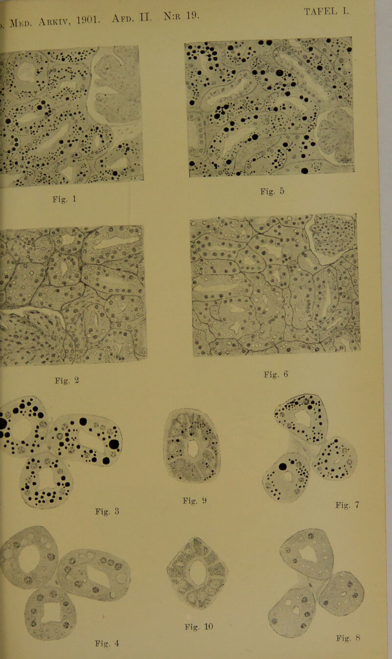 Mkd. Arkiv, 1901. Afd. TT. N:r 19. Fig. 2 Fig. 6 .V> f* .* .V.. . M •. .<?tv • • • *' ,tfs & Fig. 3 . • ' •* .. • ;• . •- . :■ r< . . • ■ -V t • »'* Fig. 9 f.n >V 'i> . : -r. : 4© Fig. 7 ' l <3> -i . i» ♦ 4 & . Or», 9 '> v C, SP ®s~' s» <& Fig. 10 \