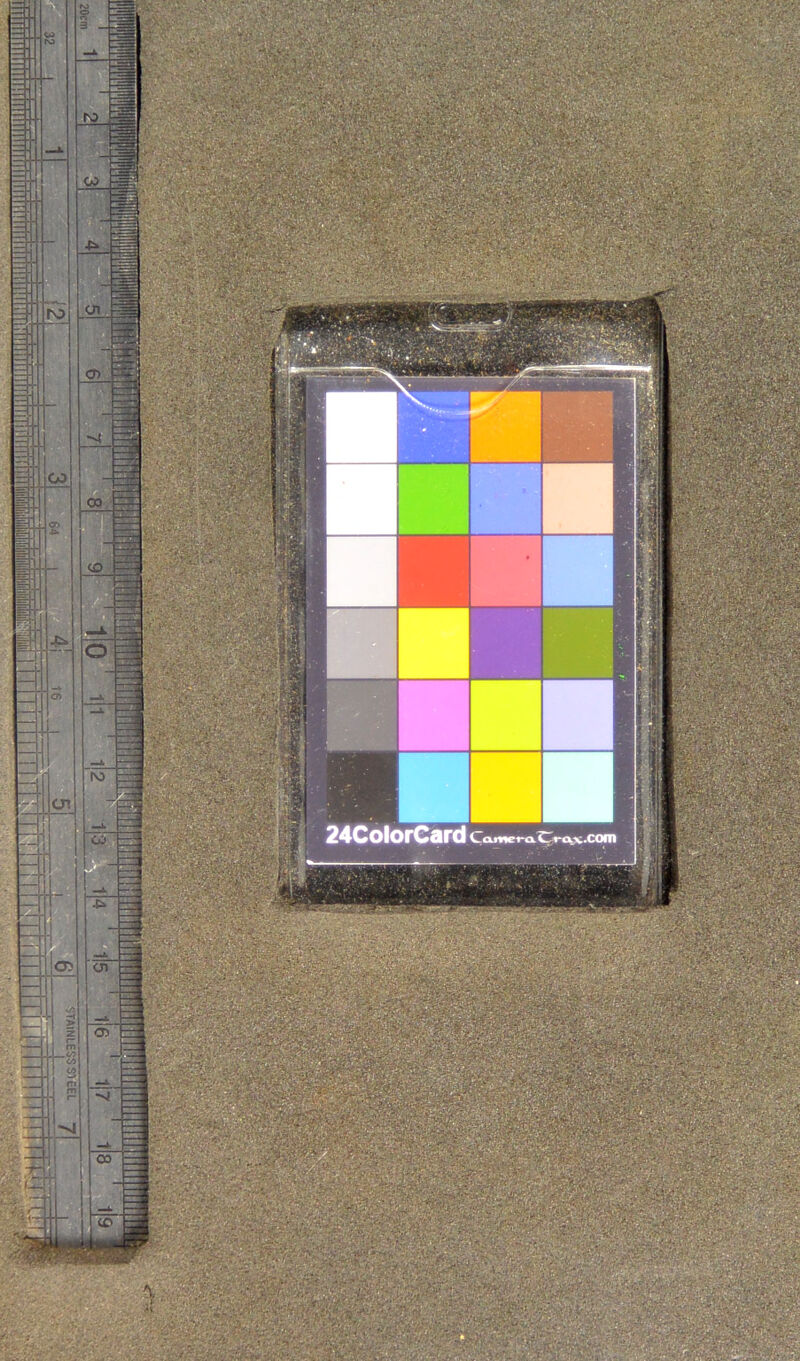 ; ; - . 24ColOrCard LamcraCrav.com