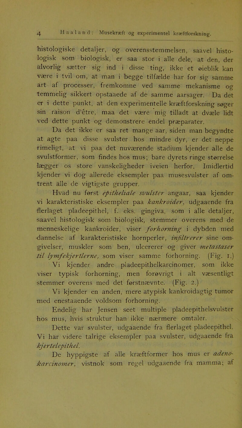 histologiske detaljer, og overensstemmelsen, saavel histo- logisk som biologisk, er saa stor i alle dele, at den, der alvorlig sætter sig ind i disse ting, ikke et øieblik kan være i tvil om, at man i begge tilfælde har for sig samme art af processer, fremkomne ved samme mekanisme og temmelig sikkert opstaaede af de samme aarsager. Da det er i dette punkt, at den experimentelle kræftforskning søger sin raison d’étre, maa det være mig tilladt at dvæle lidt ved dette punkt og demonstrere endel præparater. Da det ikke er saa ret mange aar, siden man begyndte at agte paa disse svulster hos mindre dyr, er det neppe rimeligt, at vi paa det nuværende stadium kjender alle de svulstformer, som findes hos mus; bare dyrets ringe størrelse lægger os store vanskeligheder iveien herfor. Imidlertid kjender vi dog allerede eksempler paa musesvulster af om- trent alle de vigtigste grupper. Hvad nu først epitheliale svulster angaar, saa kjender vi karakteristiske eksempler paa kankroider. udgaaende fra flerlaget pladeepithel, f. eks. gingiva, som i alle detaljer, saavel histologisk som biologisk, stemmer overens med de menneskelige kankroider, viser forhorning i dybden med ■dannelse af karakteristiske hornperler, infiltrerer sine om- givelser, muskler som ben, uleererer og giver metastaser til lymfekjertlerne, som viser samme forhorning. (Fig. i.) Vi kjender andre pladeepithelkarcinomer, som ikke viser typisk forhorning, men forøvrigt i alt væsentligt stemmer overens med det førstnævnte. (Fig. 2.) Vi kjender en anden, mere atypisk kankroidagtig tumor med enestaaende voldsom forhorning. Endelig har Jensen seet multiple pladeepithelsvulster hos mus, hvis struktur han ikke nærmere omtaler. Dette var svulster, udgaaende fra flerlaget pladeepithel. Vi har videre talrige eksempler paa svulster, udgaaende fra kjertelepithel. De hyppigste af alle kræftformer hos mus er adeno- karcinomer, vistnok som regel udgaaende fra mamma; af