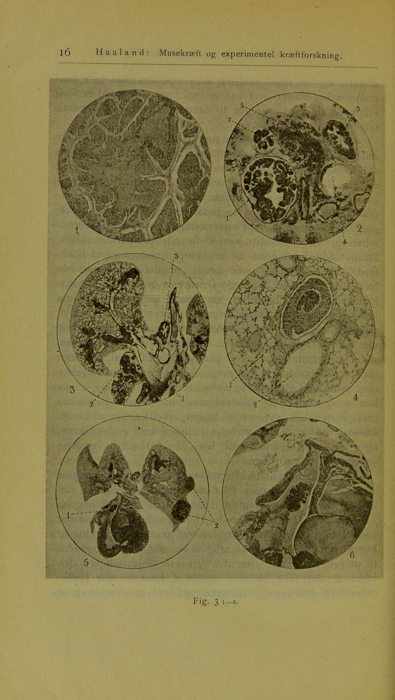 Fig. 3 i-o.